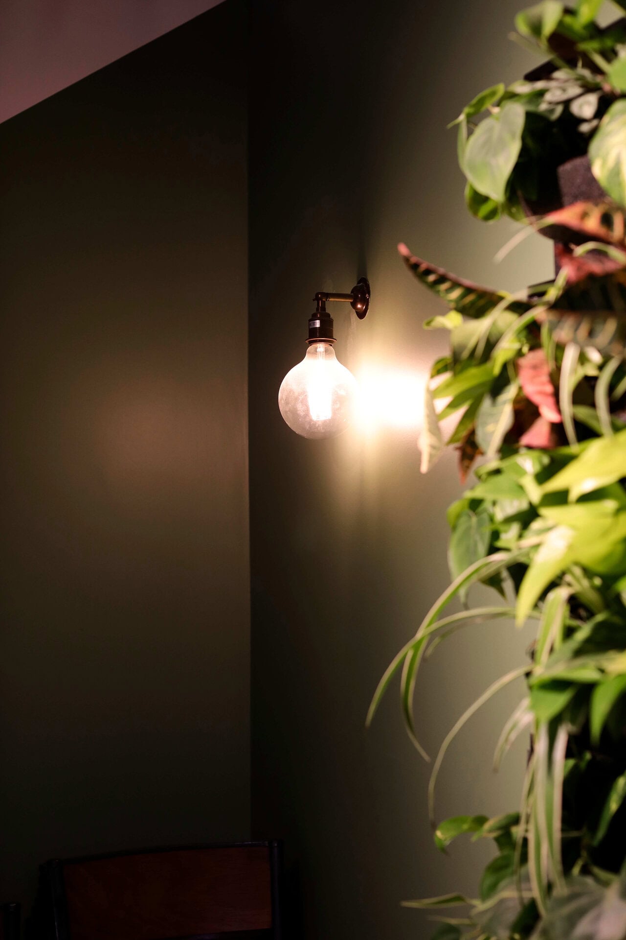 Perks & White Living Plant Wall