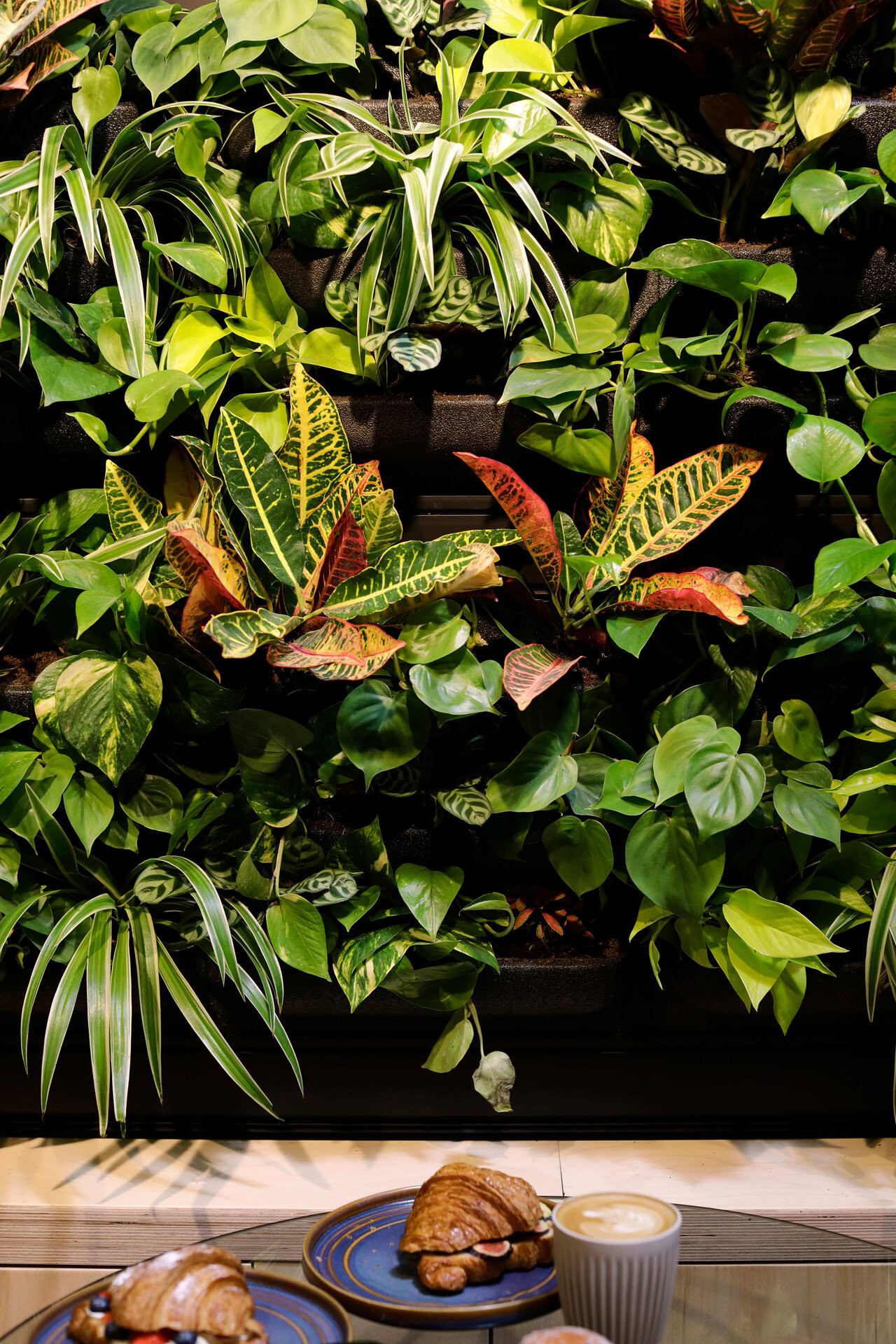 Perks & White Living Plant Wall