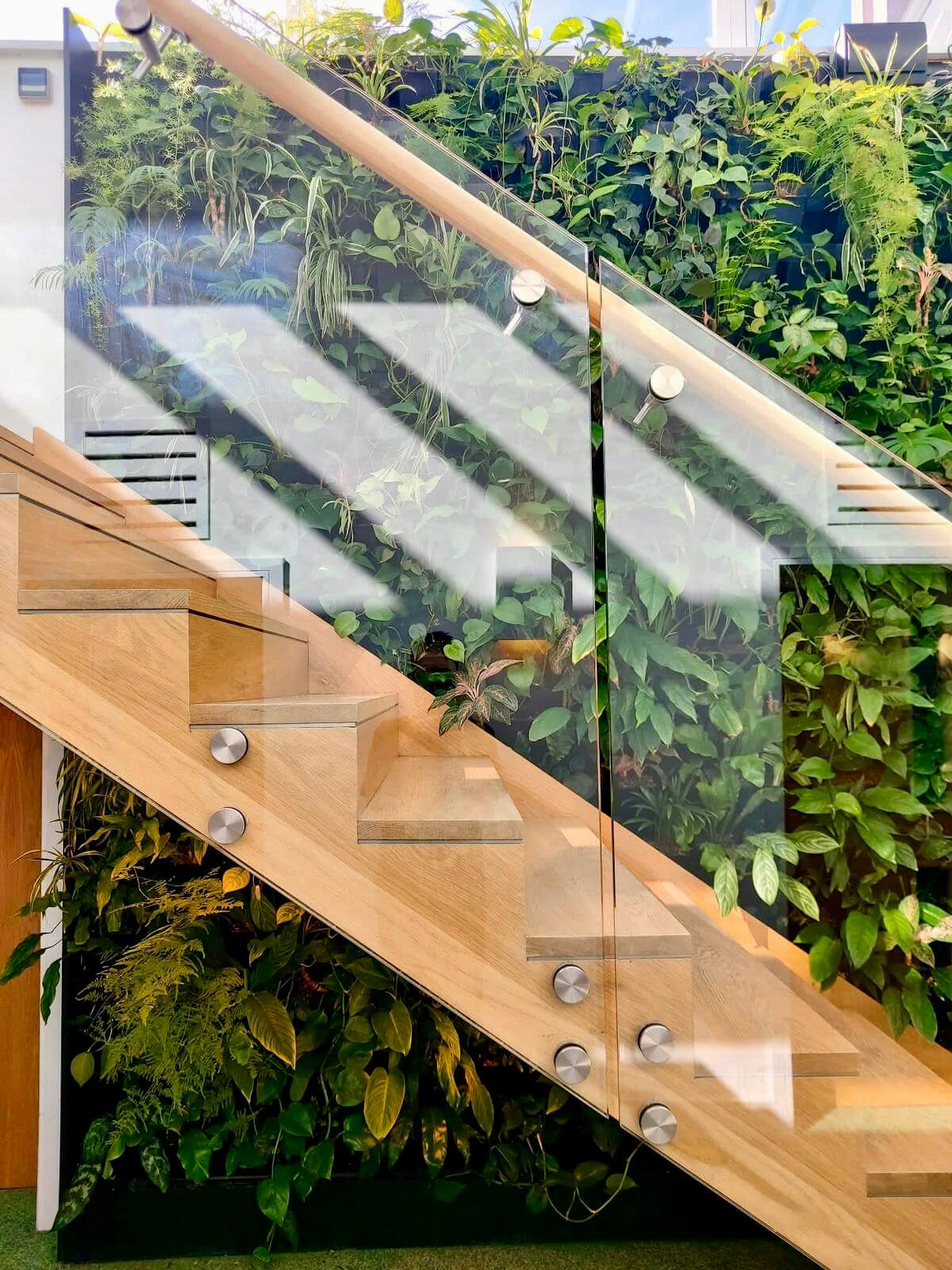 Terapia - The Bothy Living Wall