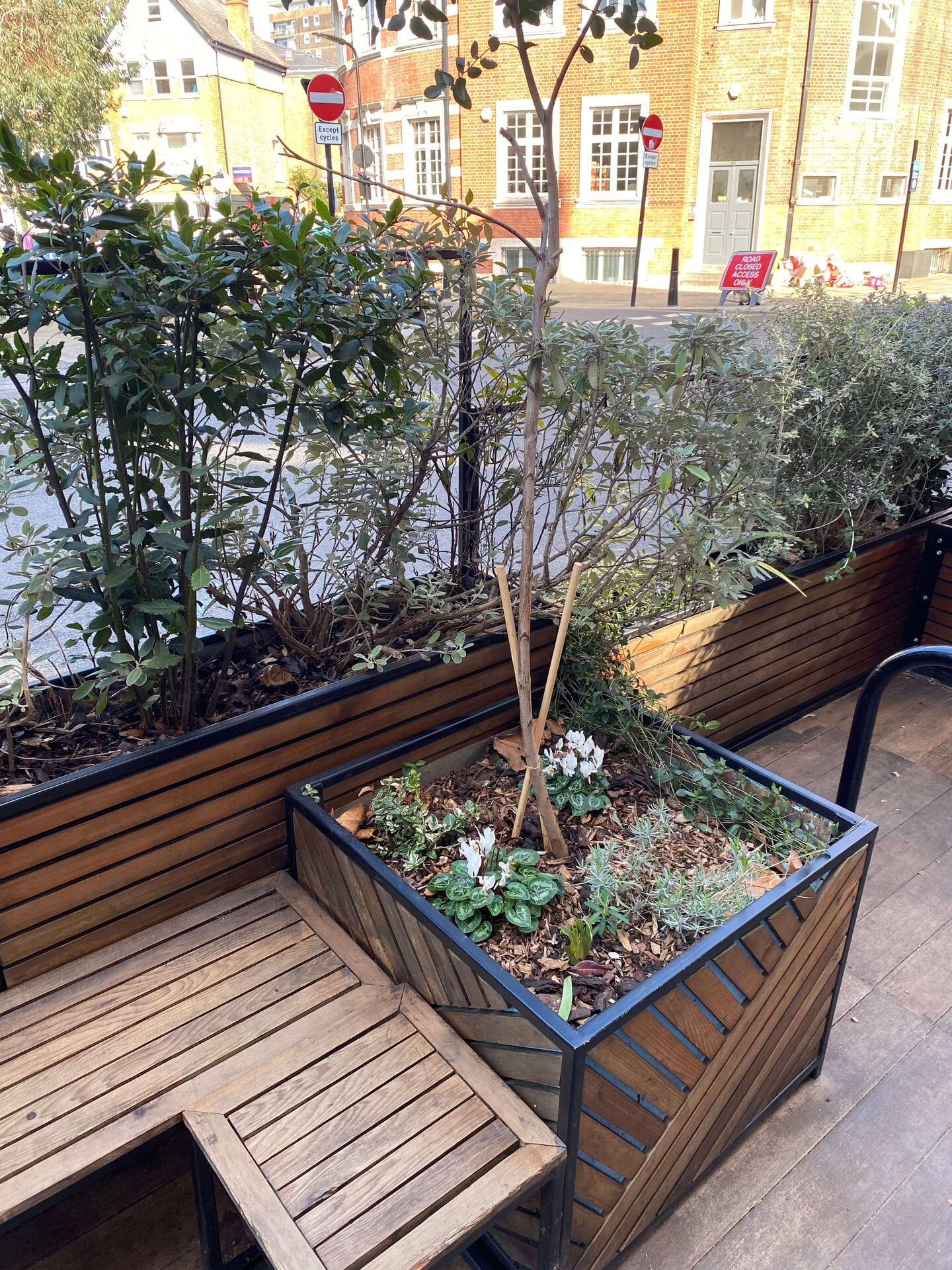 Calvert Avenue Parklet