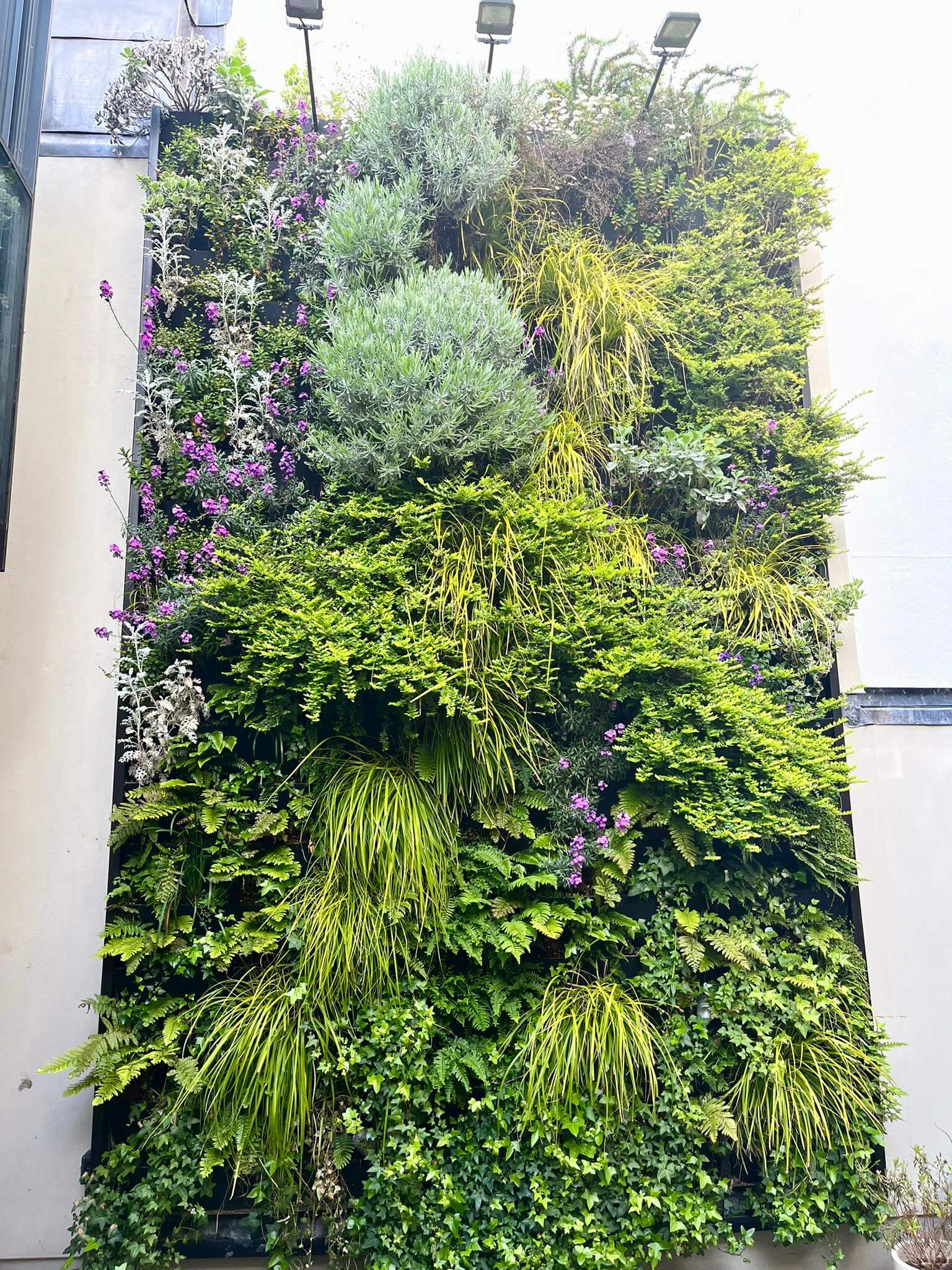 Hereford Road Living Wall