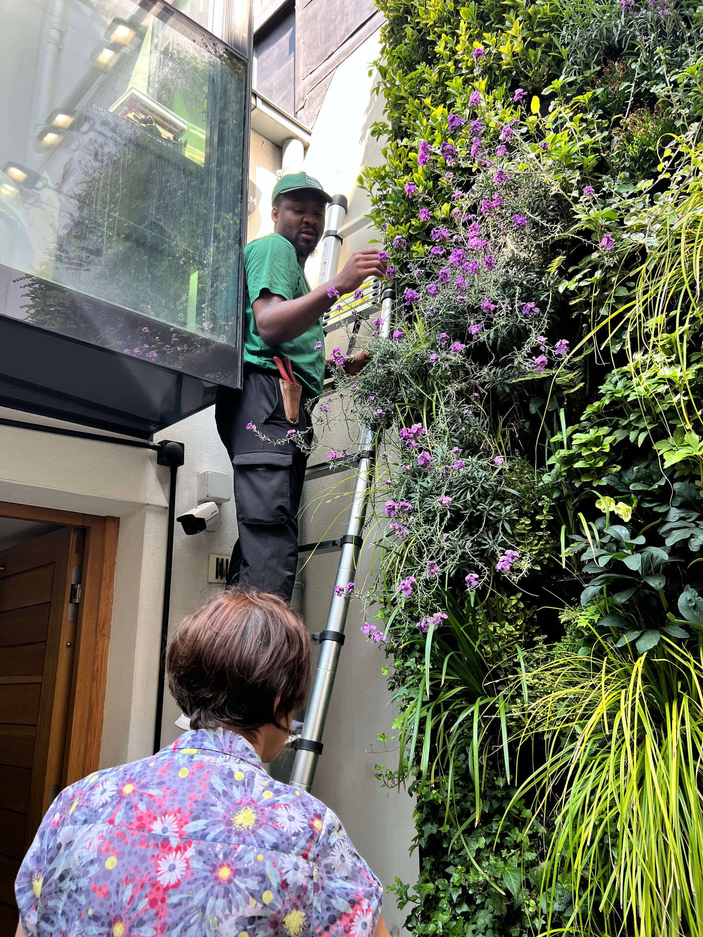 Hereford Road Living Wall