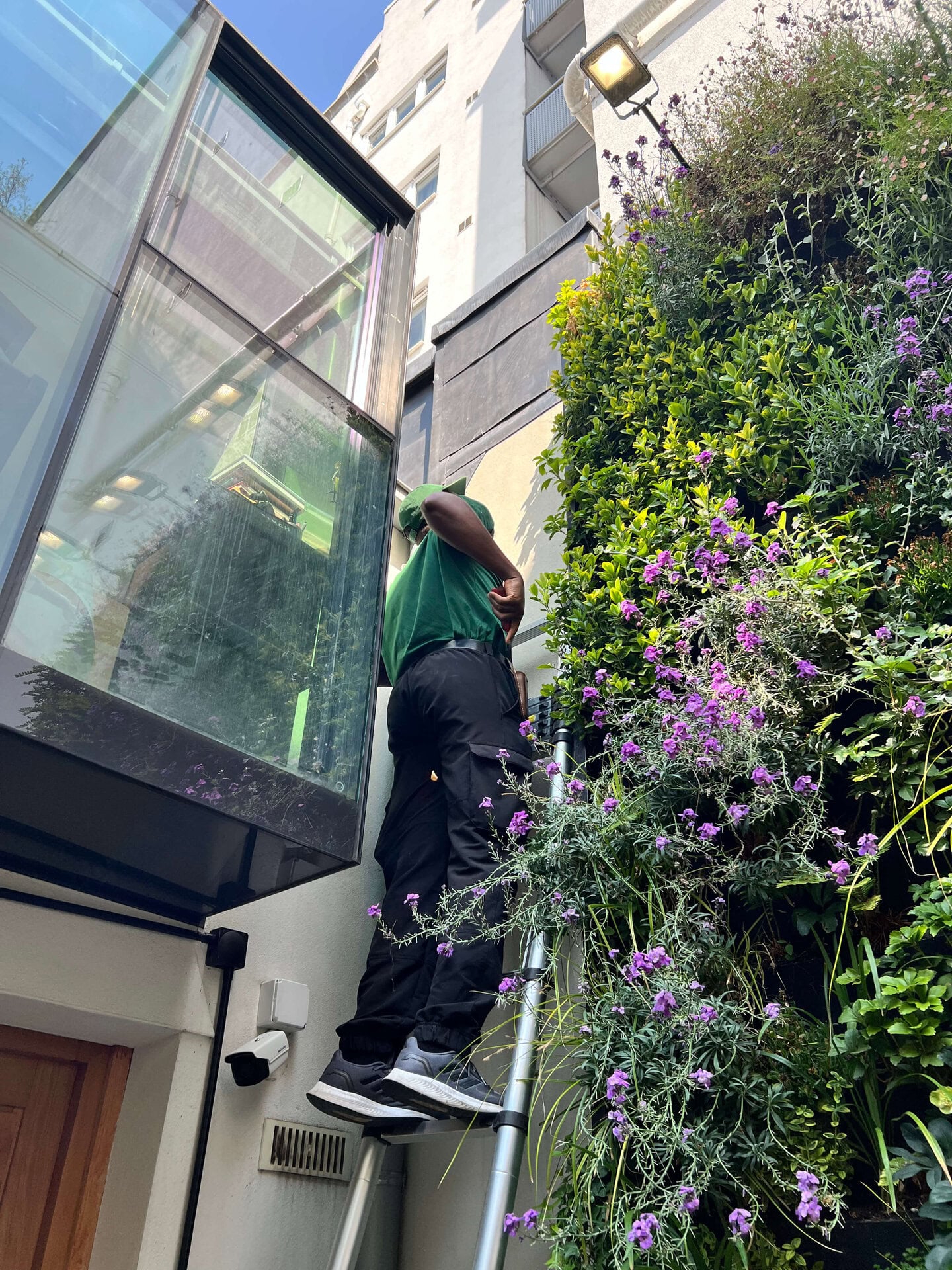 Hereford Road Living Wall