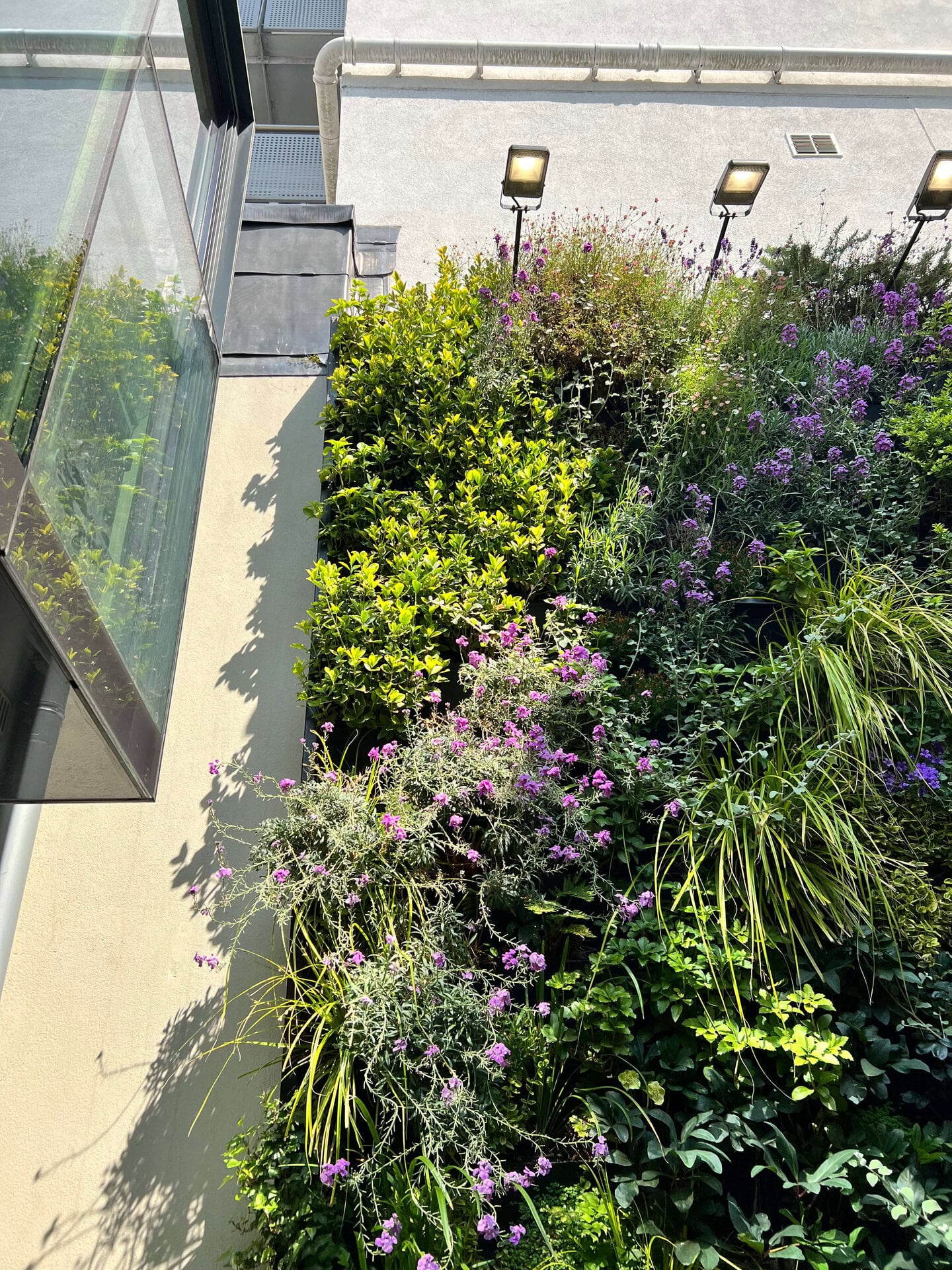 Hereford Road Living Wall