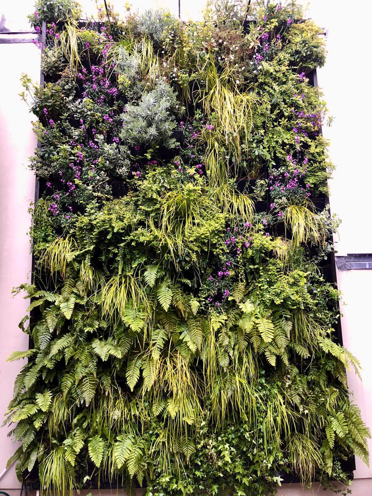 Hereford Road Living Wall
