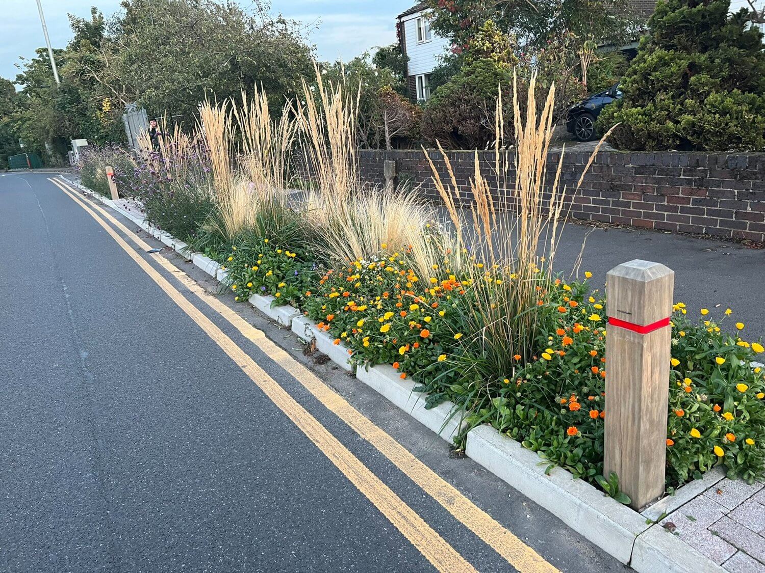Coppermill Community Rain Gardens