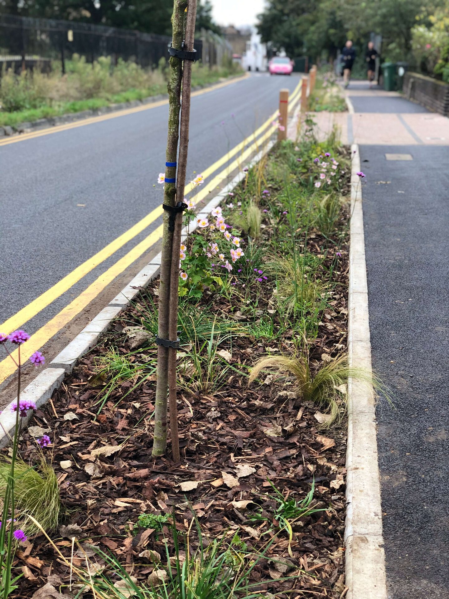 Coppermill Community Rain Gardens