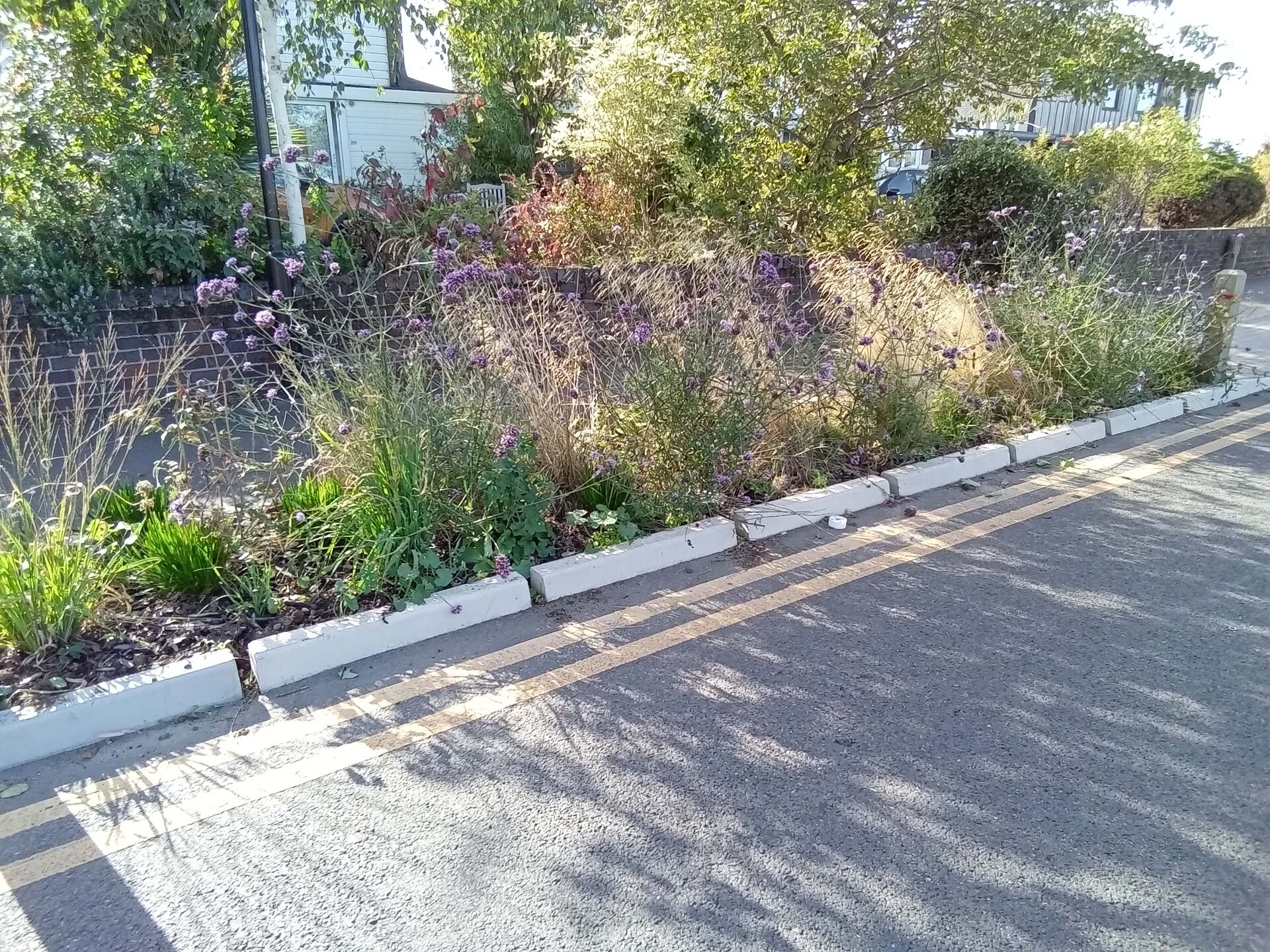 Coppermill Community Rain Gardens
