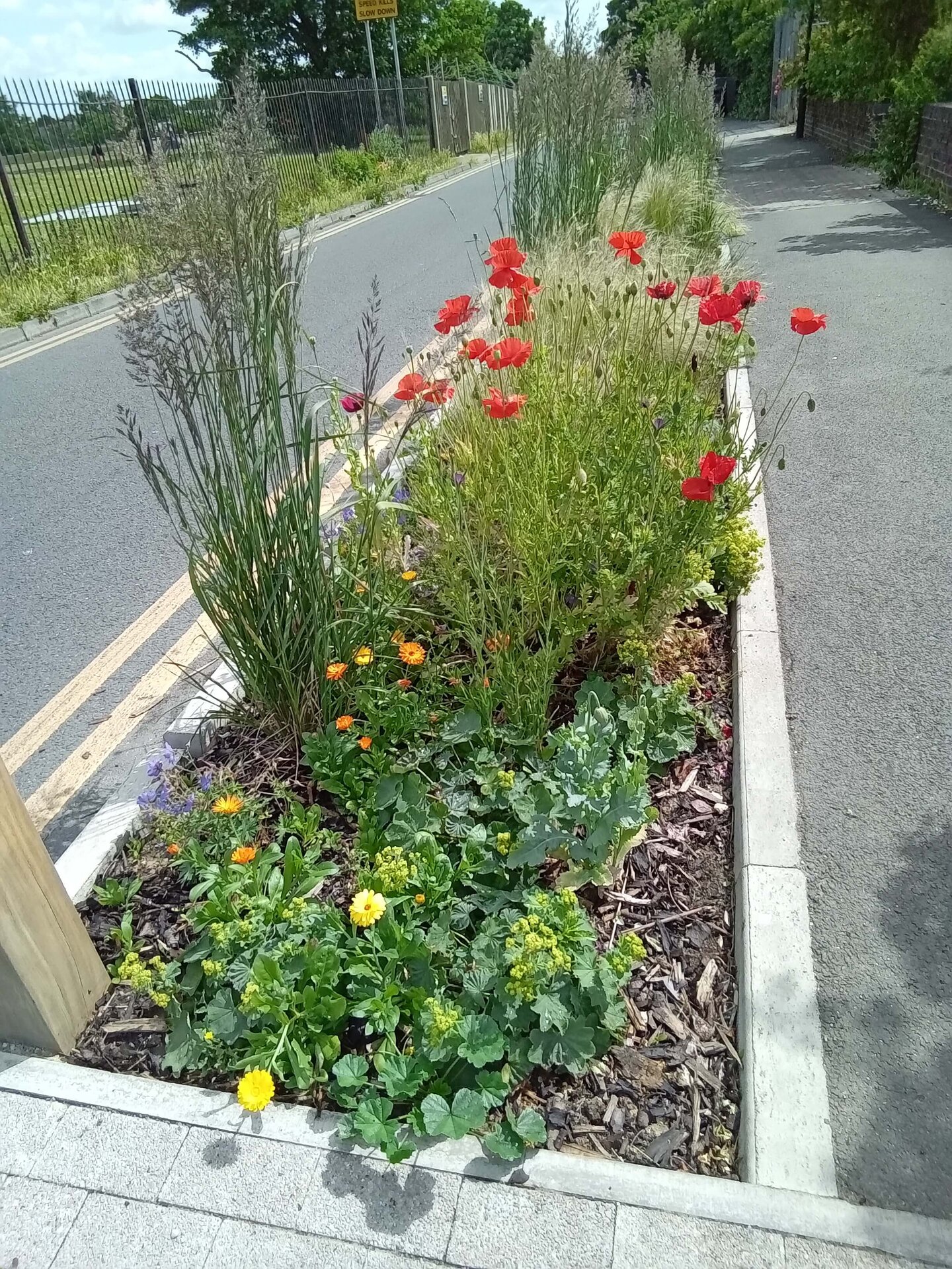 Coppermill Community Rain Gardens