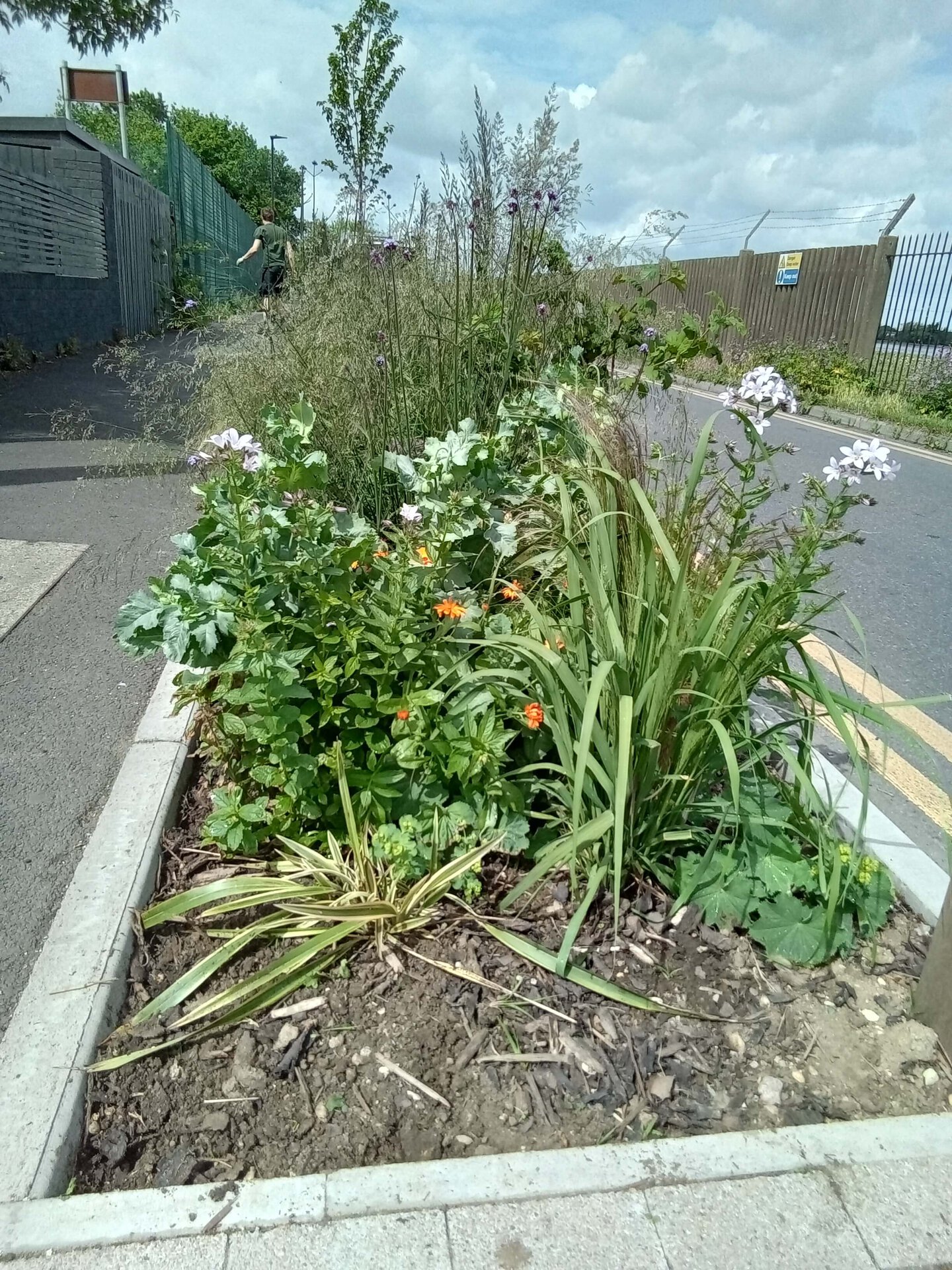 Coppermill Community Rain Gardens