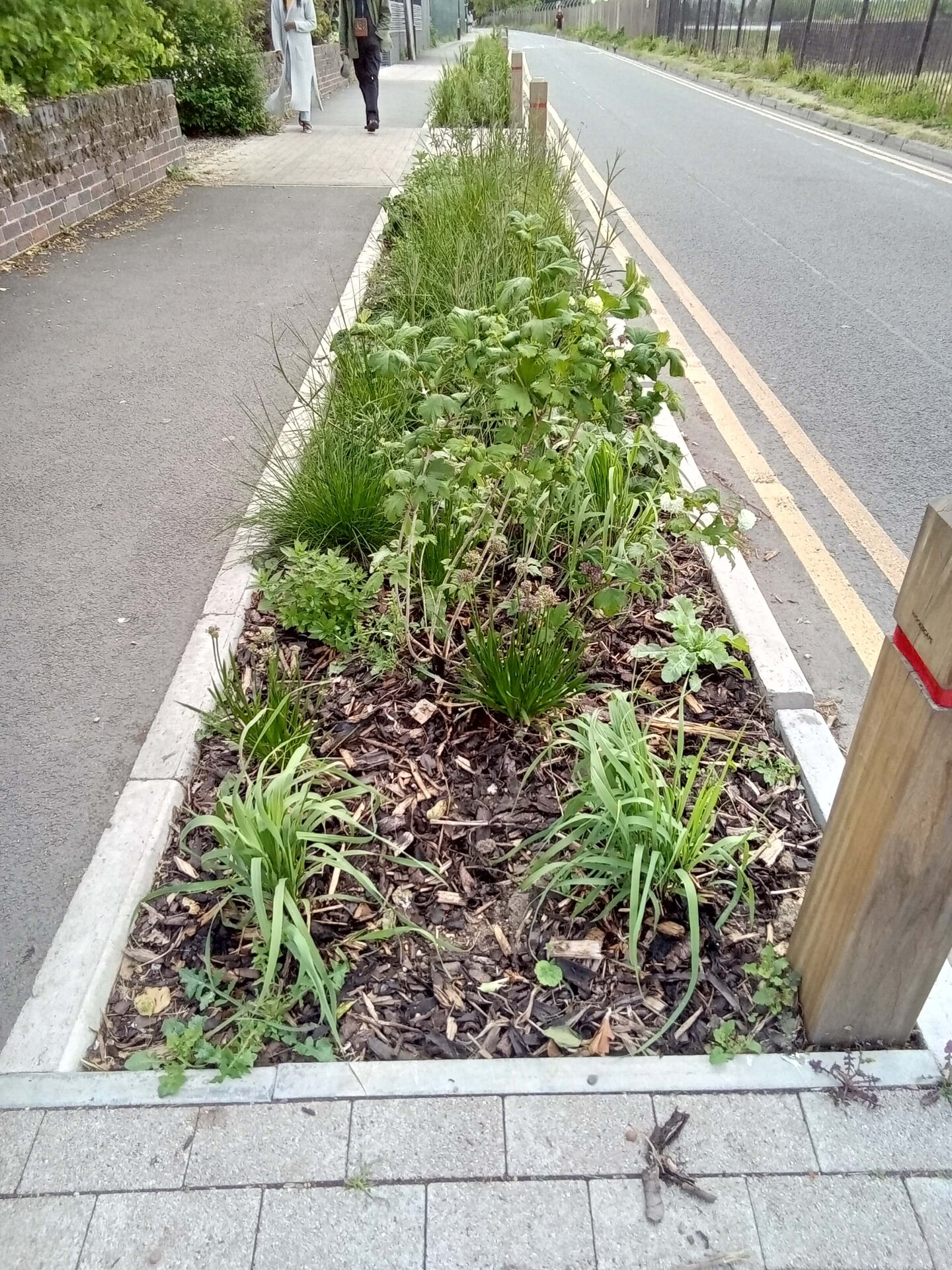 Coppermill Community Rain Gardens
