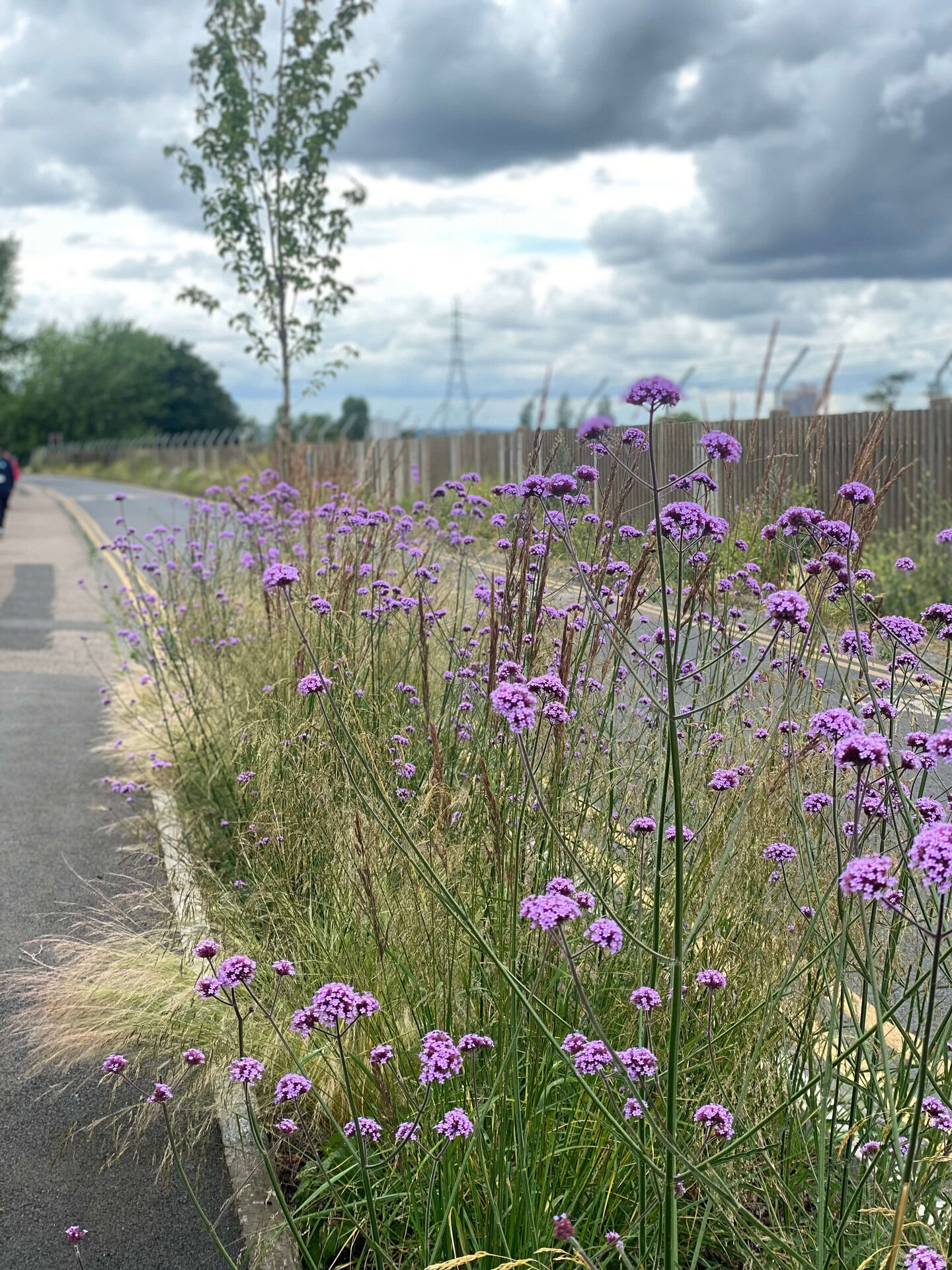 Coppermill Community Rain Gardens