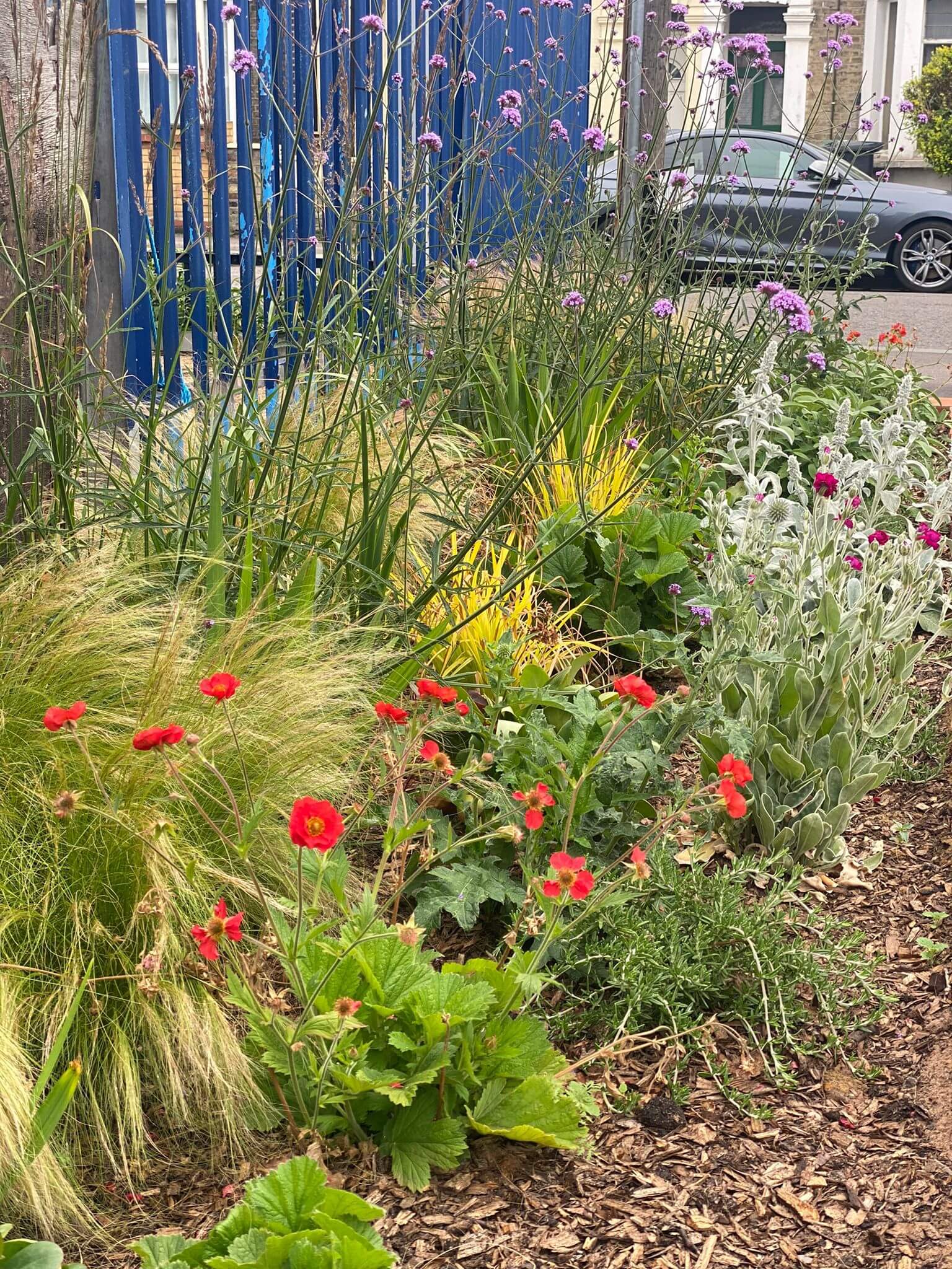 Coppermill Community Rain Gardens