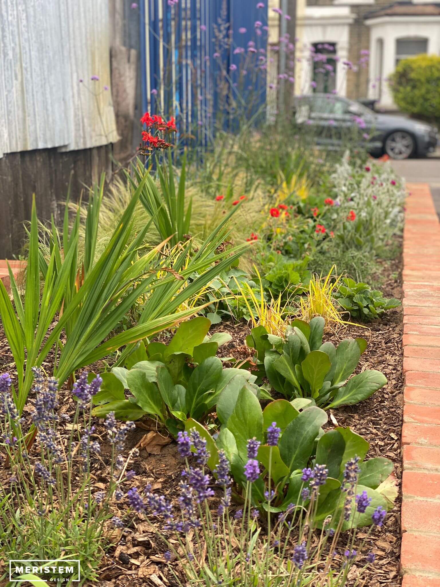 Coppermill Community Rain Gardens