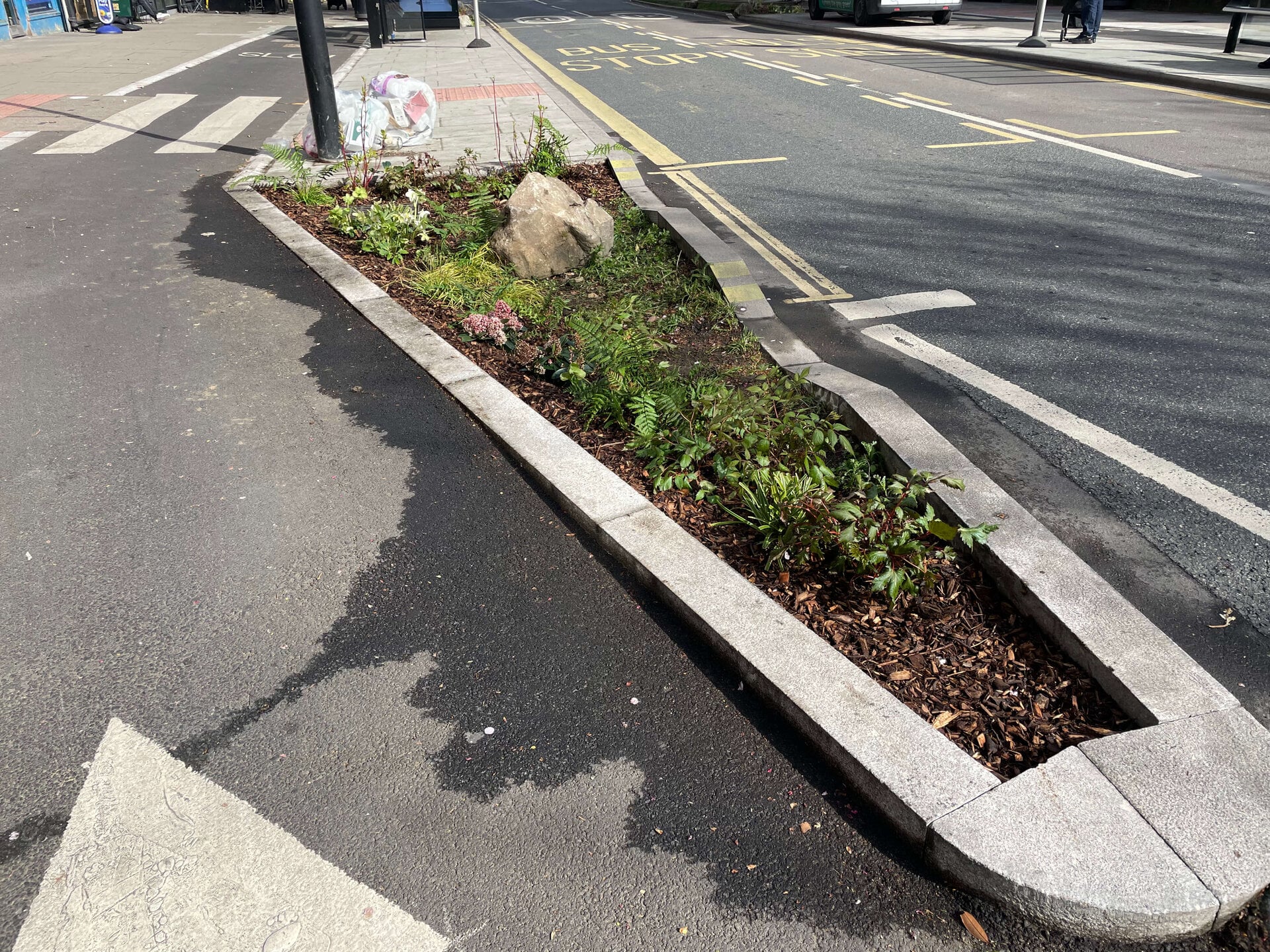 Crowndale Rain Gardens