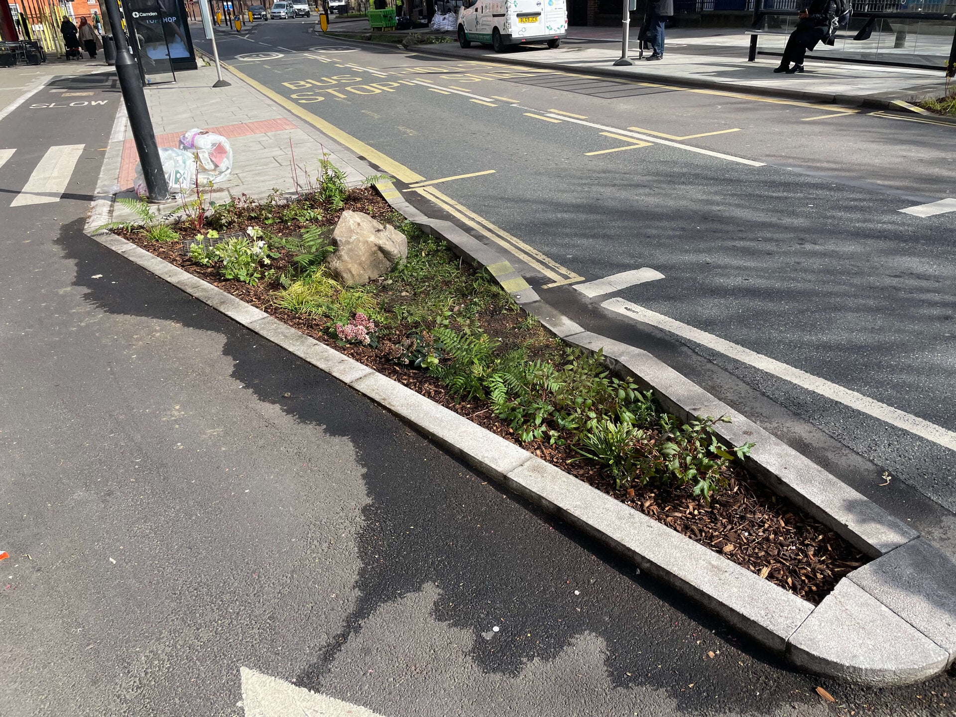 Crowndale Rain Gardens