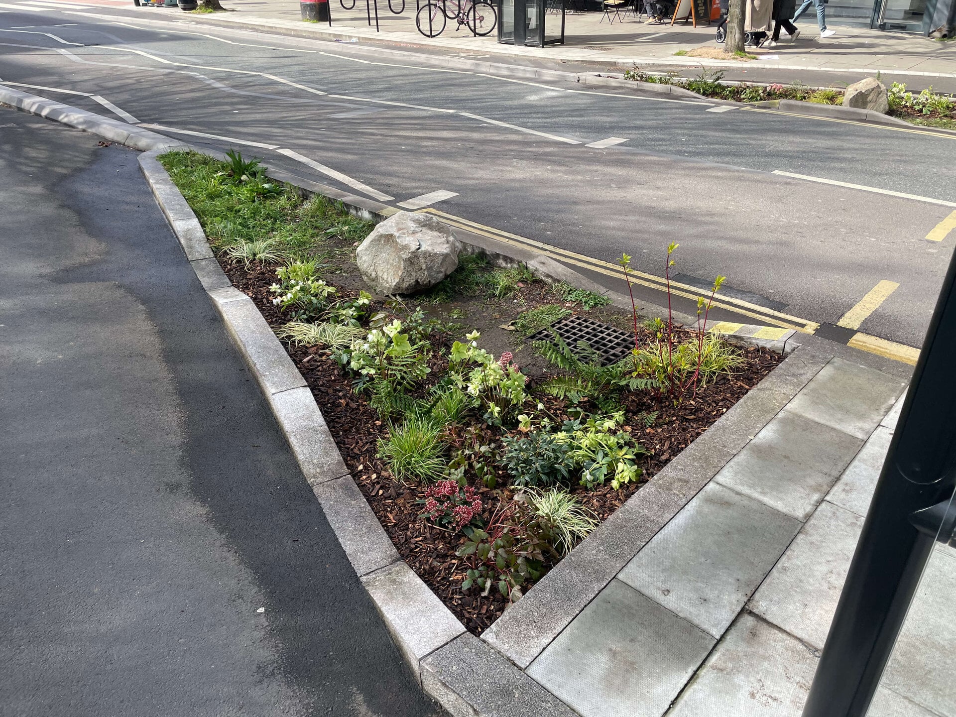 Crowndale Rain Gardens