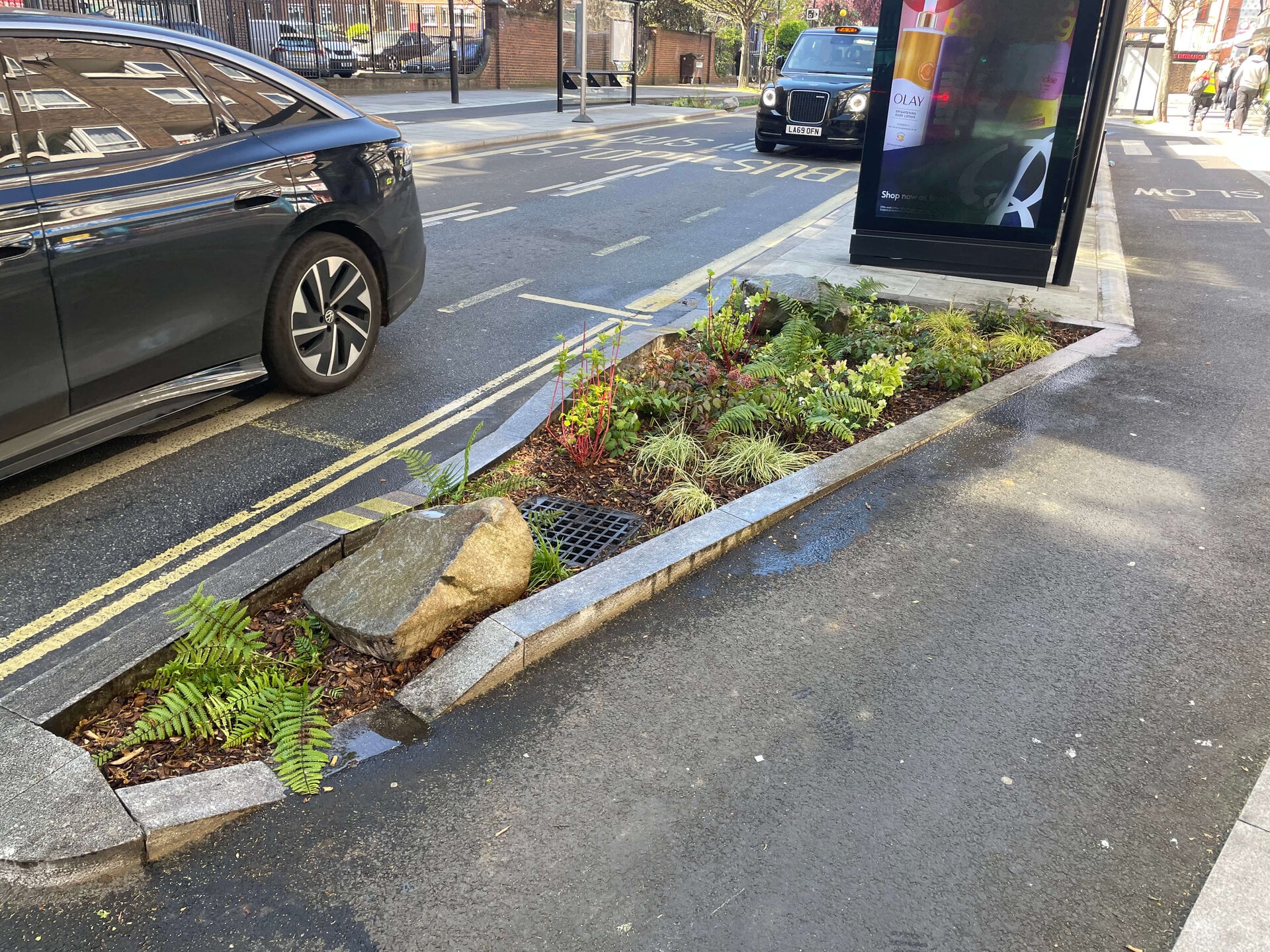 Crowndale Rain Gardens