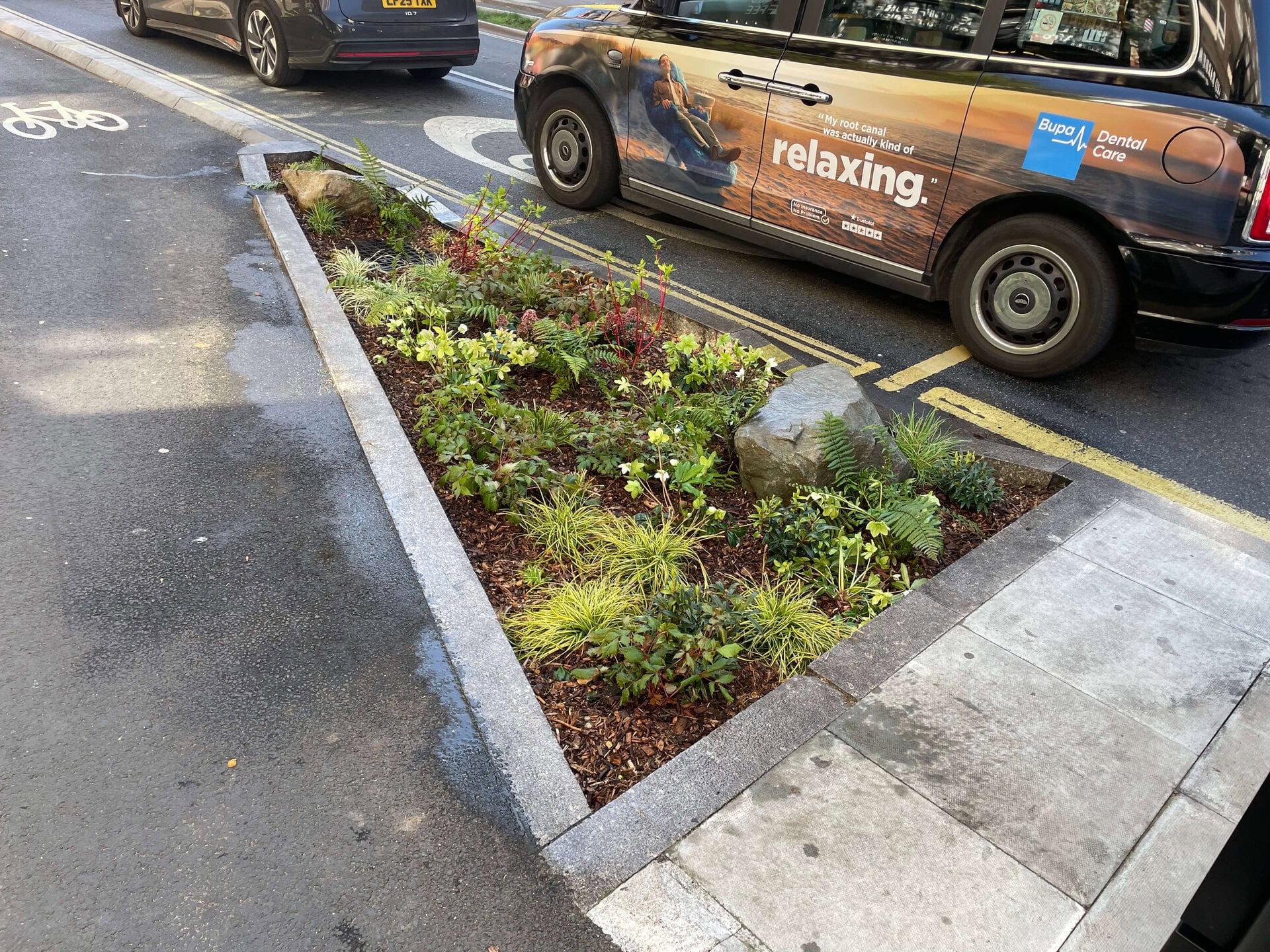 Crowndale Rain Gardens