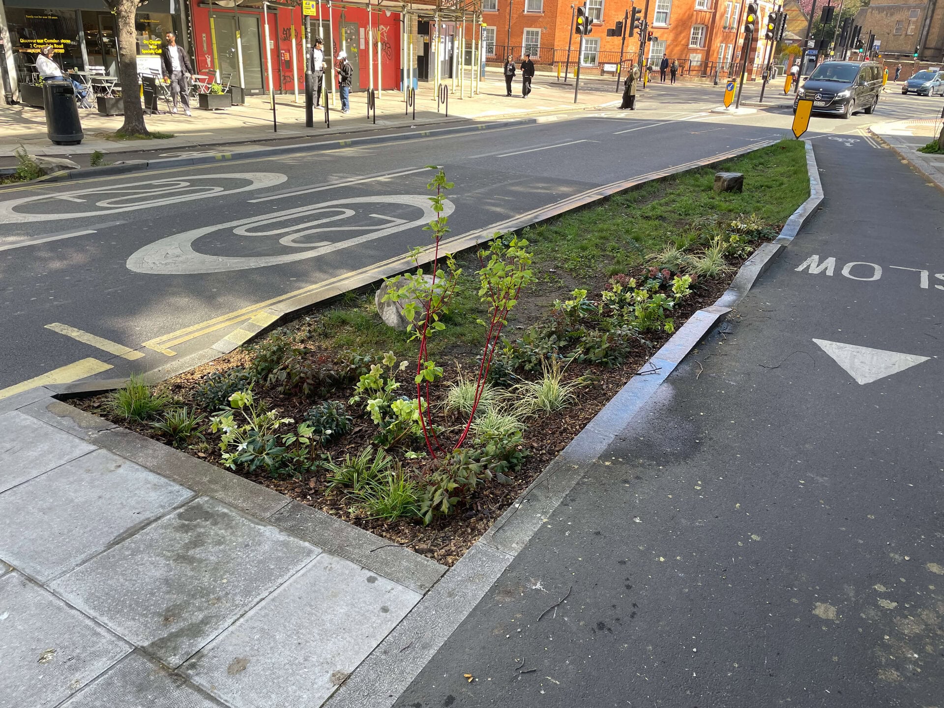 Crowndale Rain Gardens