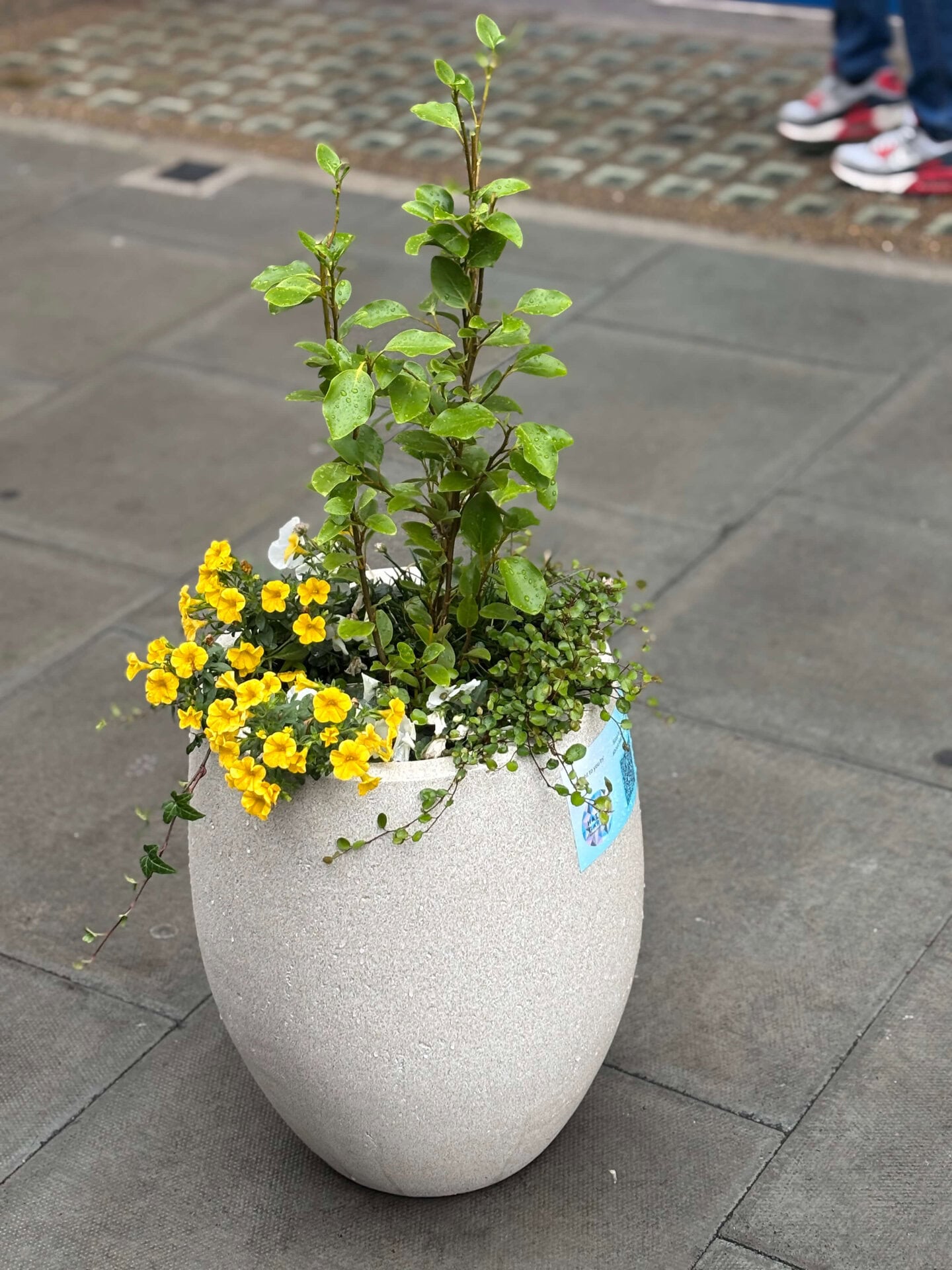 Hatton Garden Planters