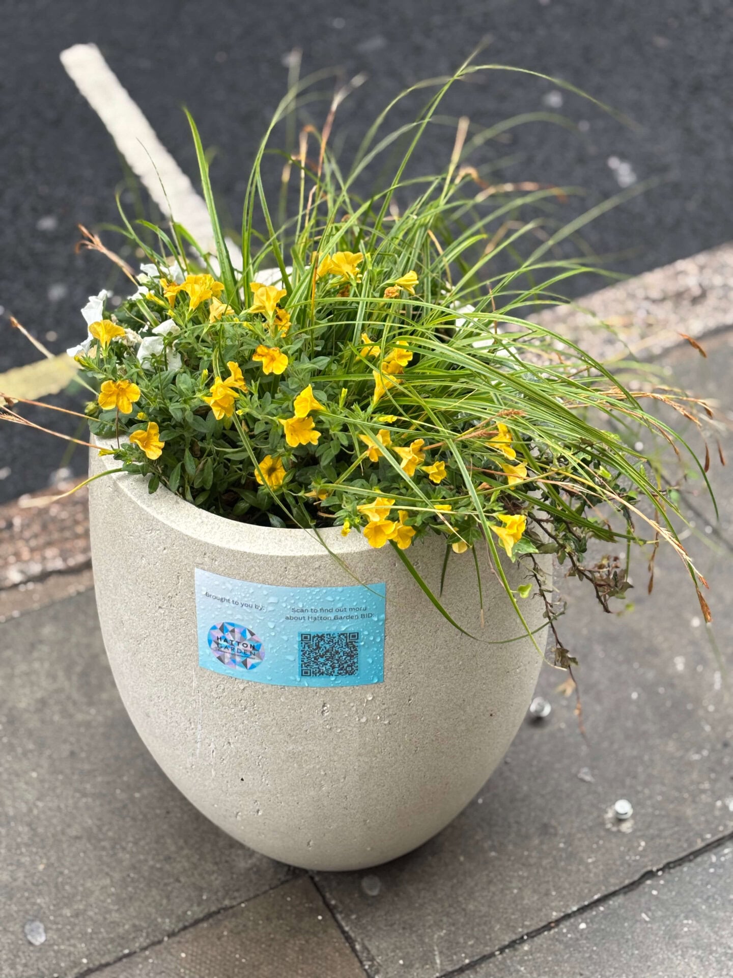 Hatton Garden Planters