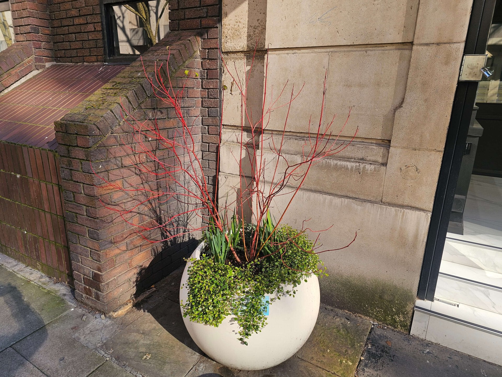 Hatton Garden Planters