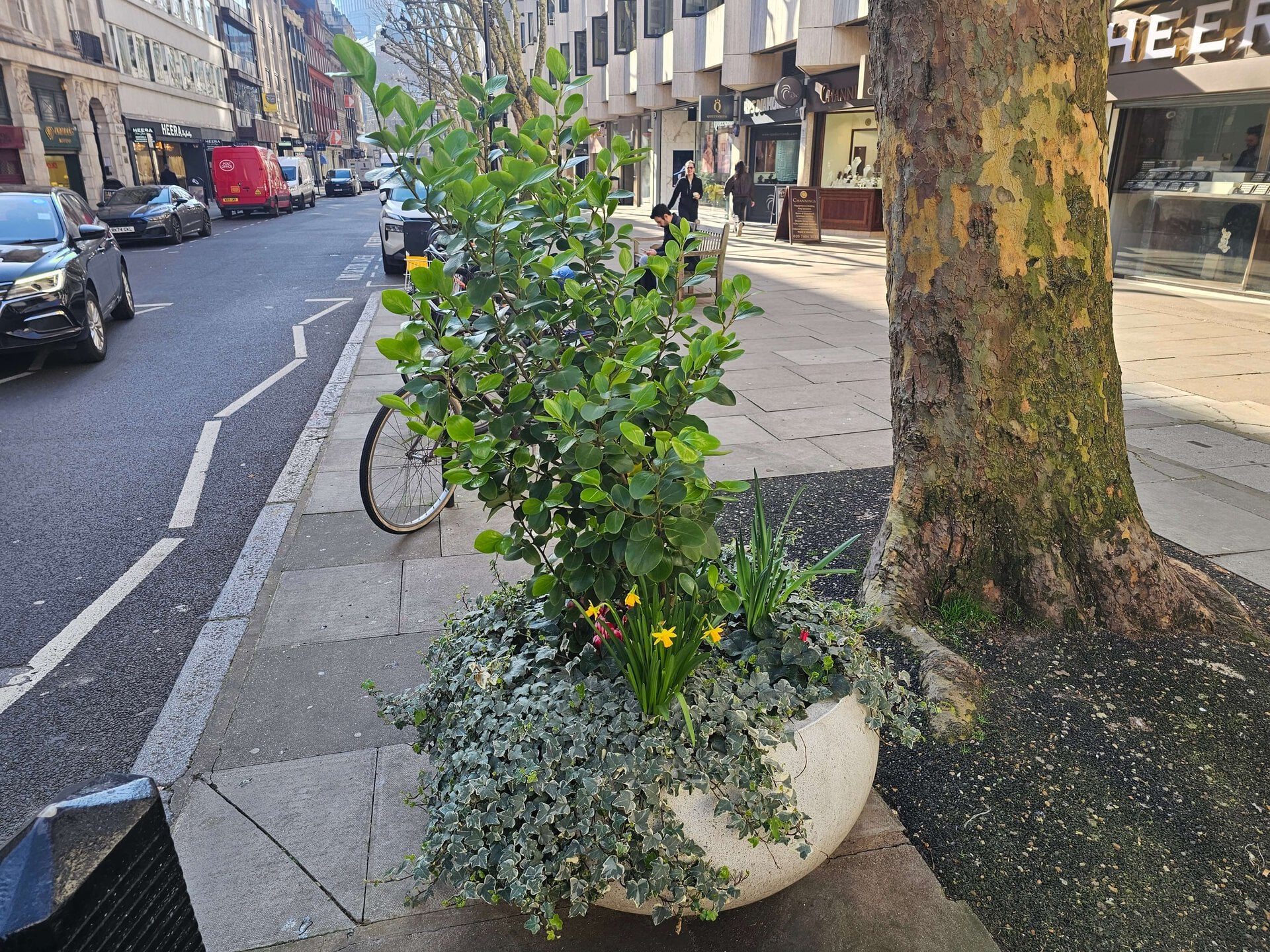 Hatton Garden Planters