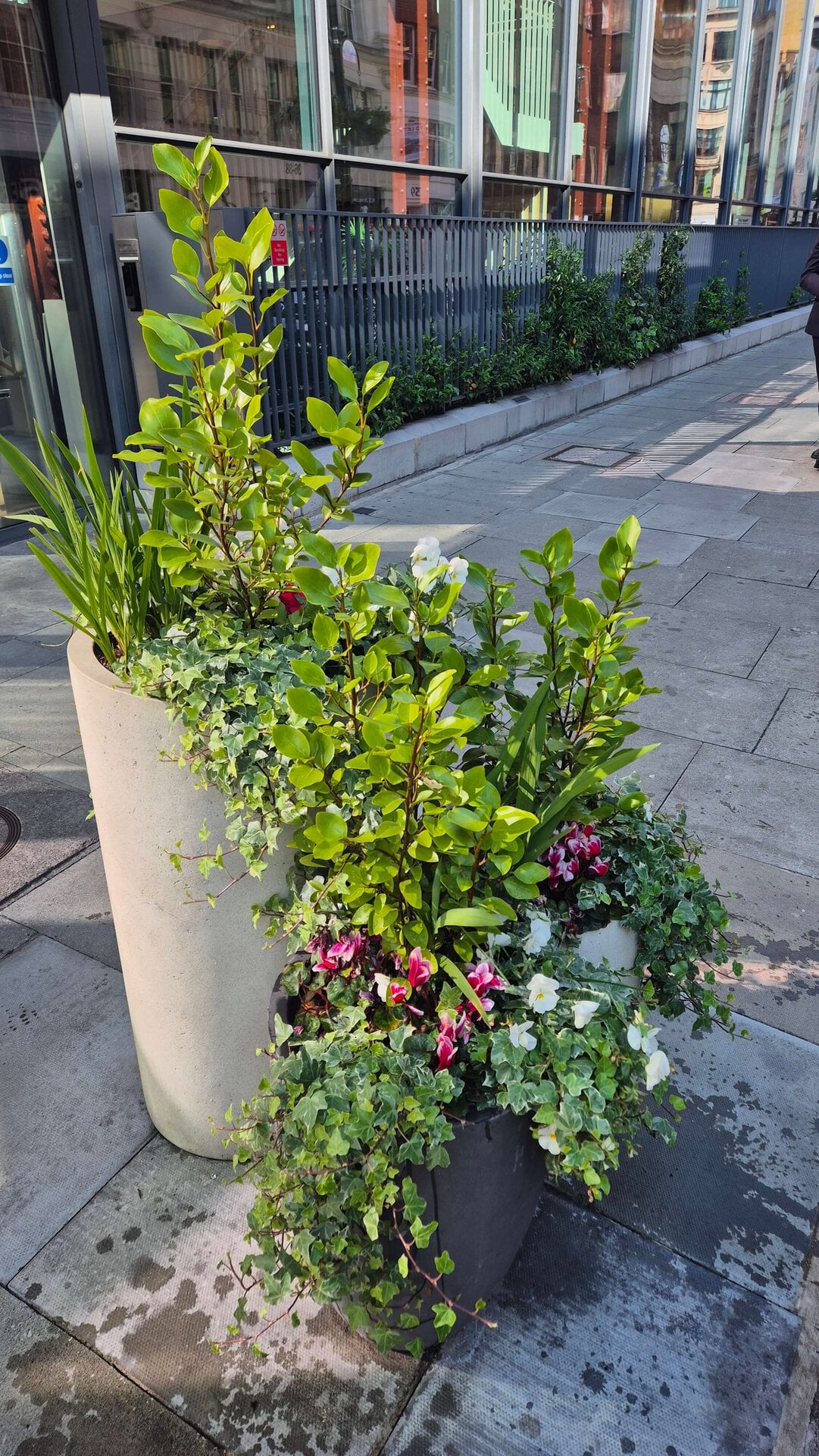 Hatton Garden Planters