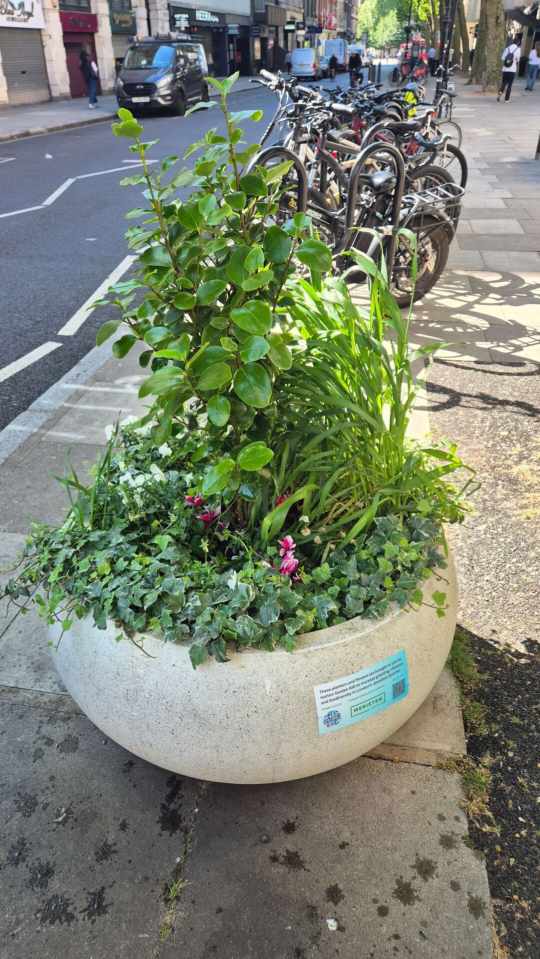 Hatton Garden Planters