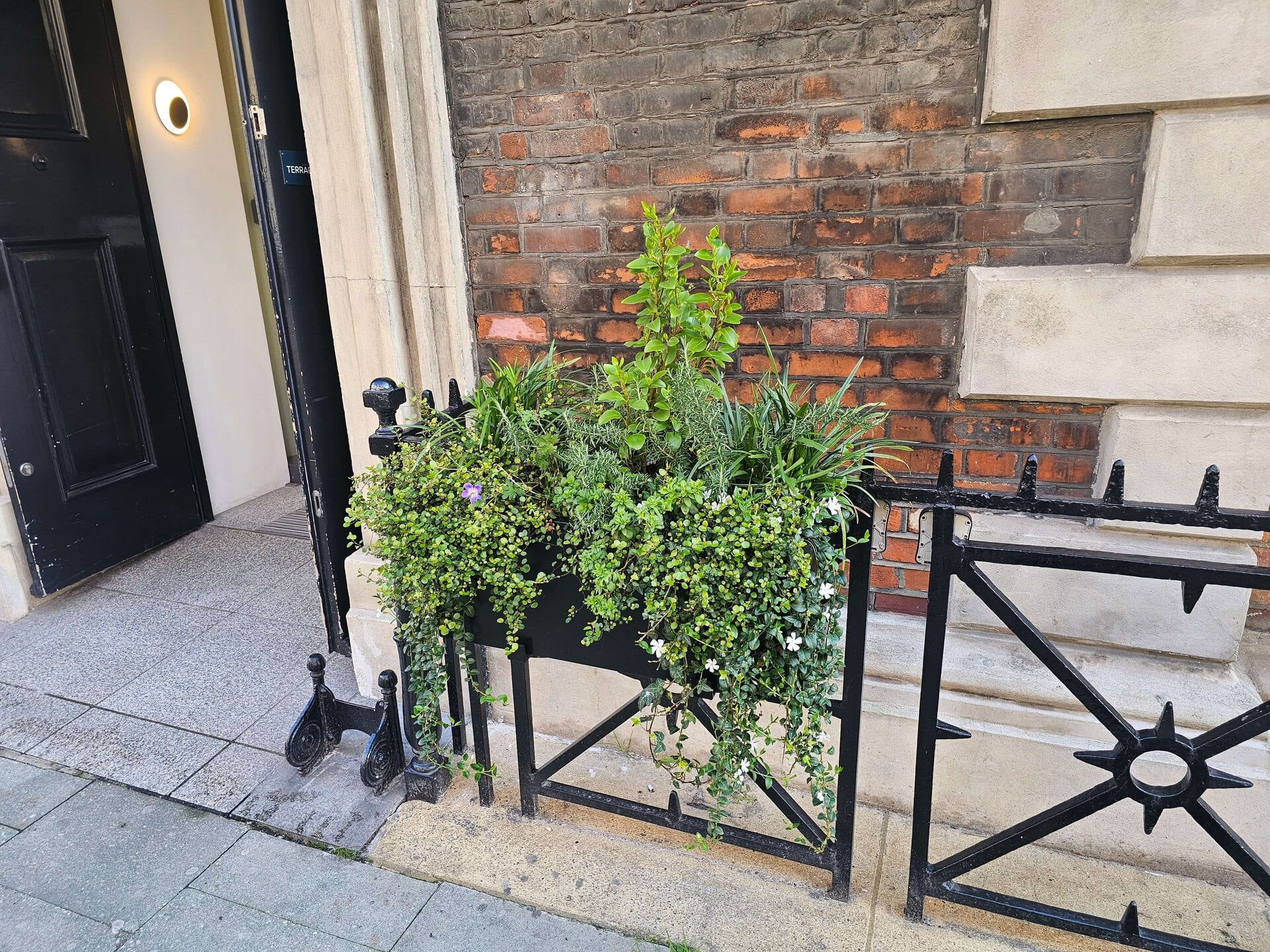 Hatton Garden Planters