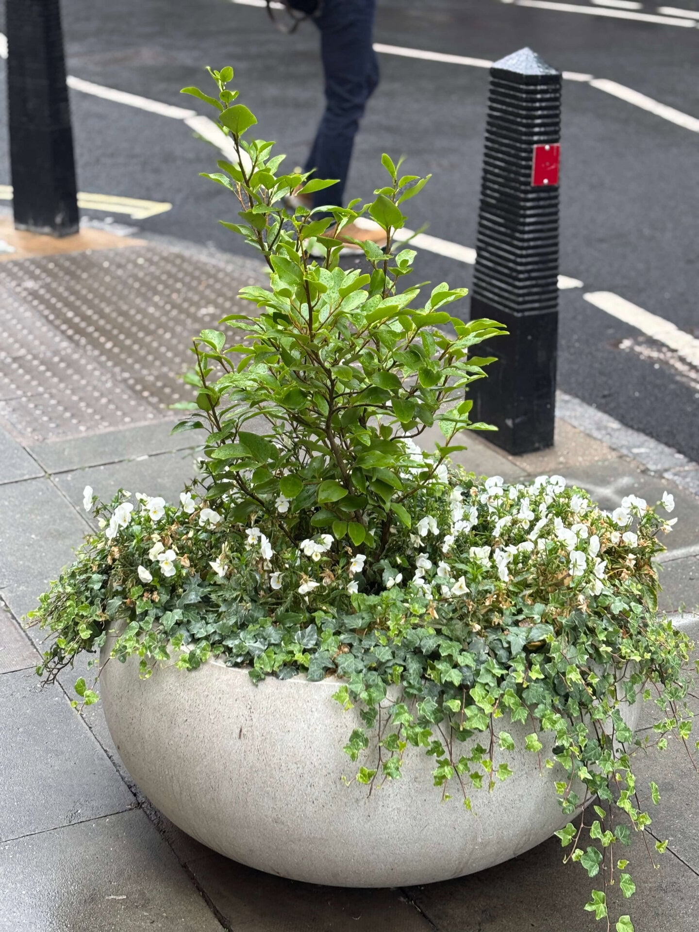 Hatton Garden Planters