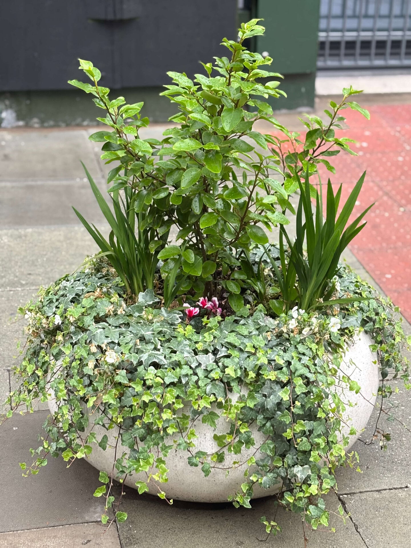 Hatton Garden Planters