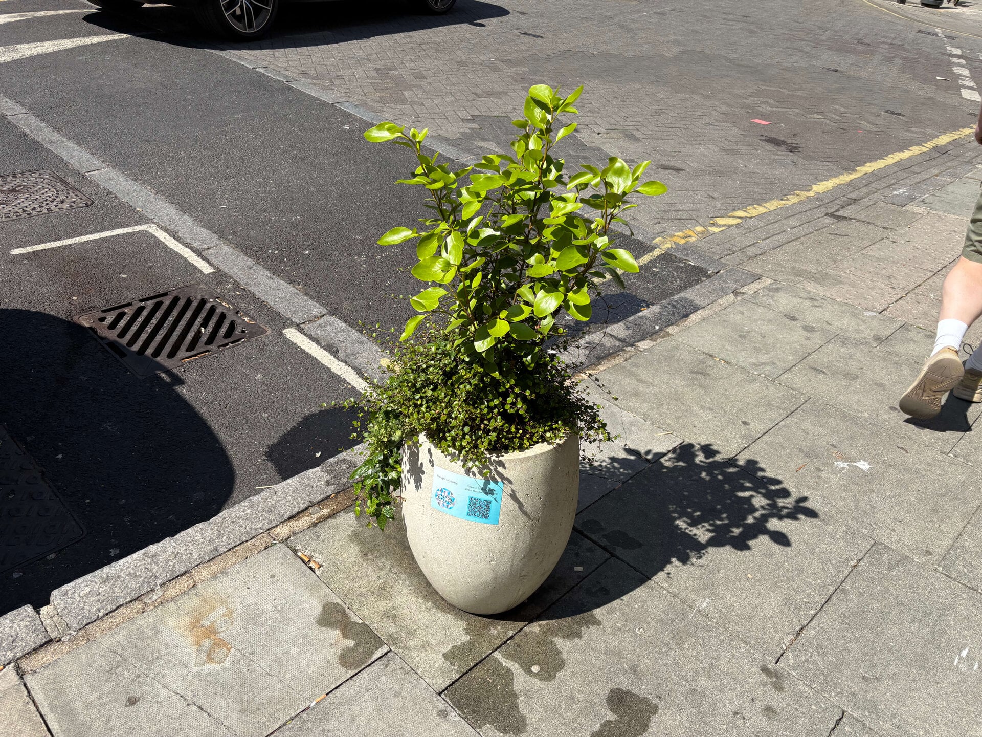 Hatton Garden Planters