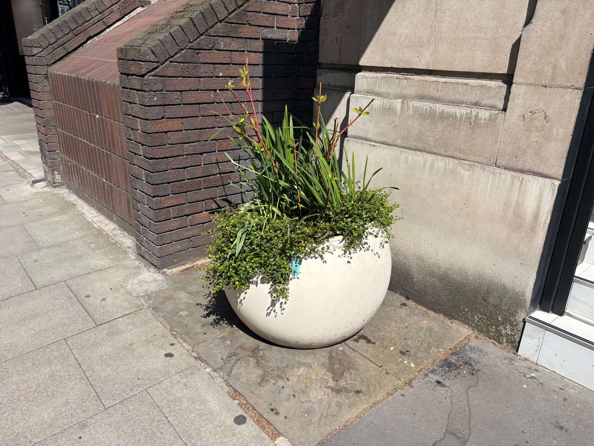 Hatton Garden Planters