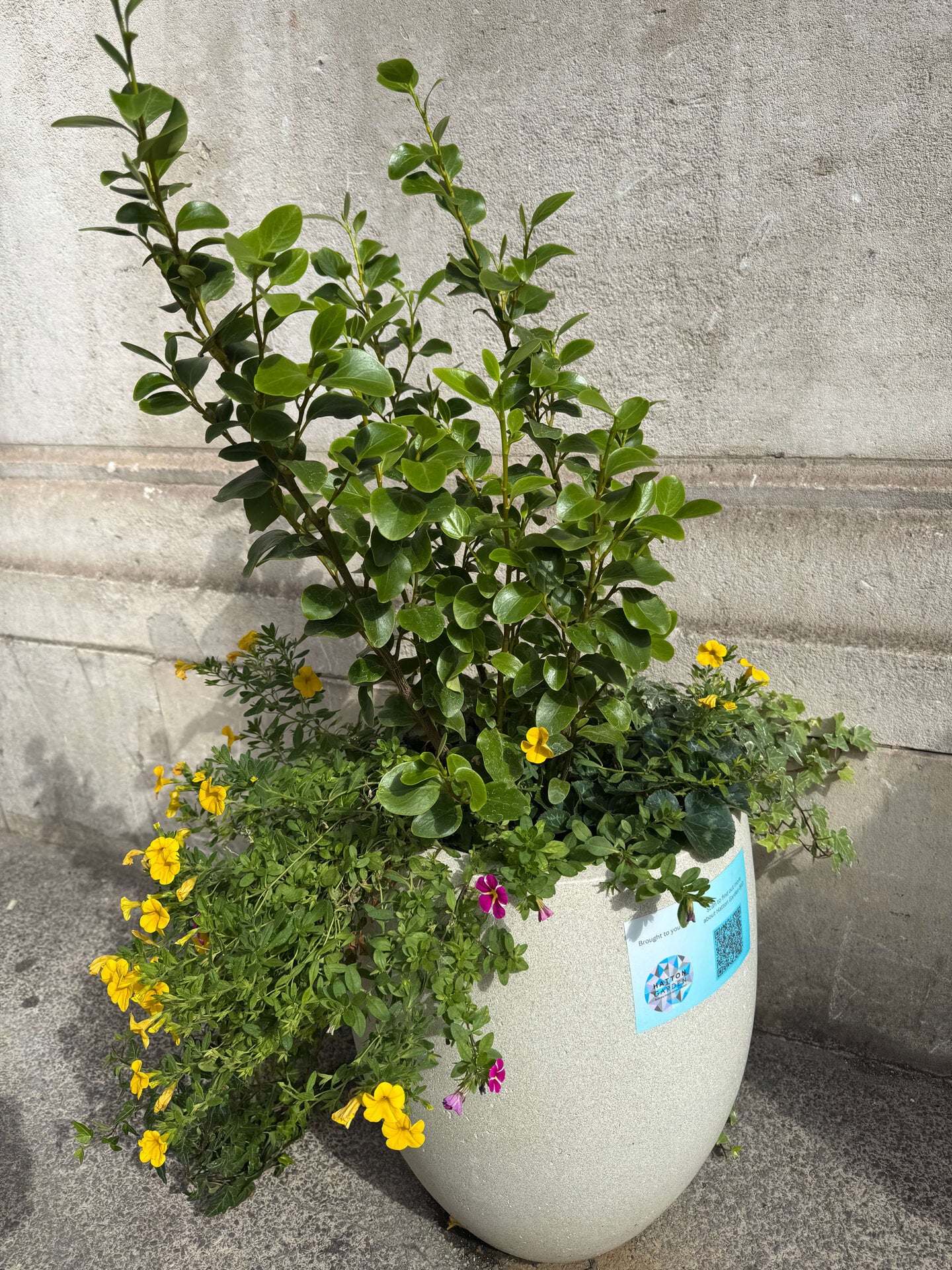 Hatton Garden Planters