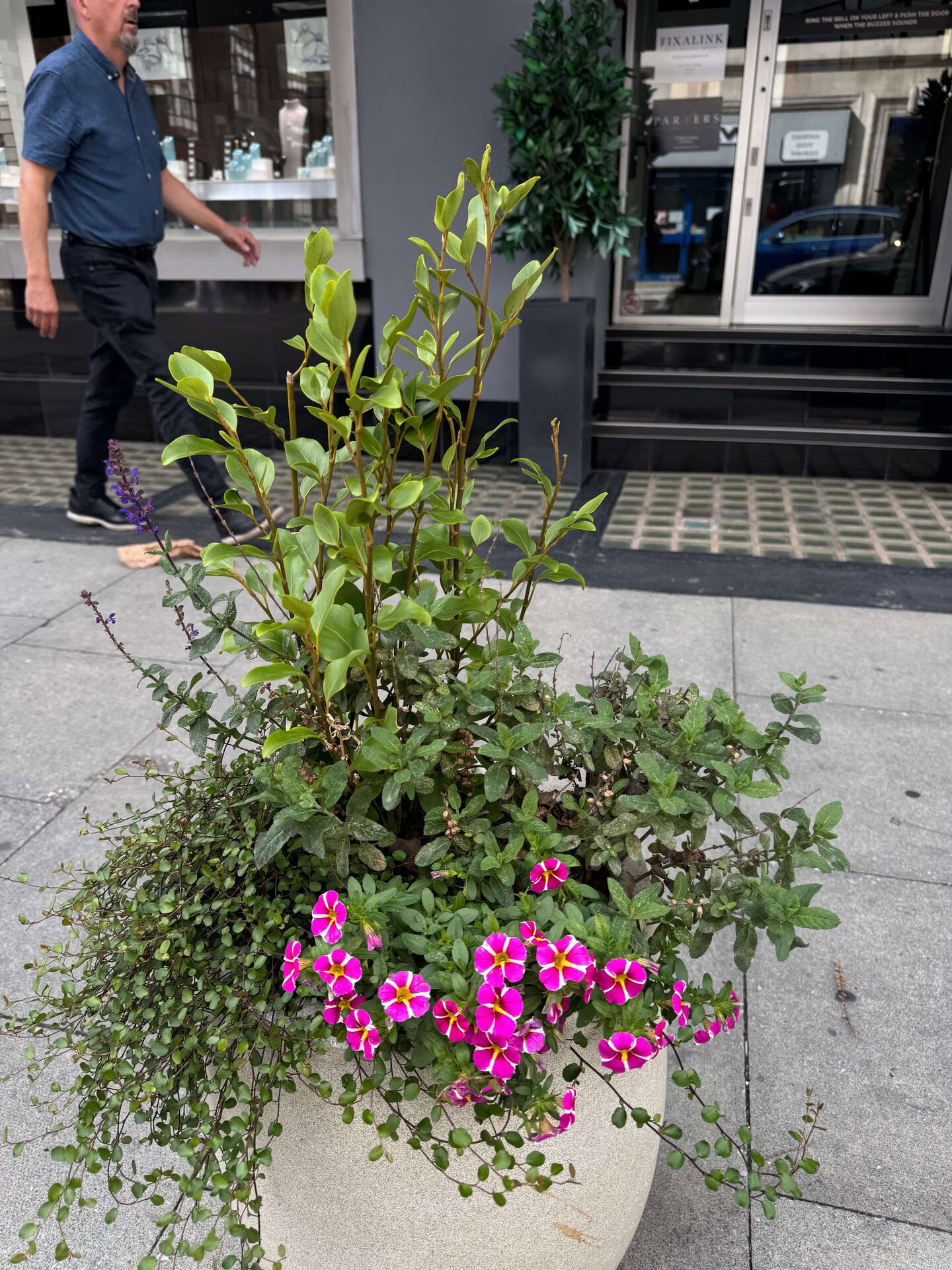 Hatton Garden Planters
