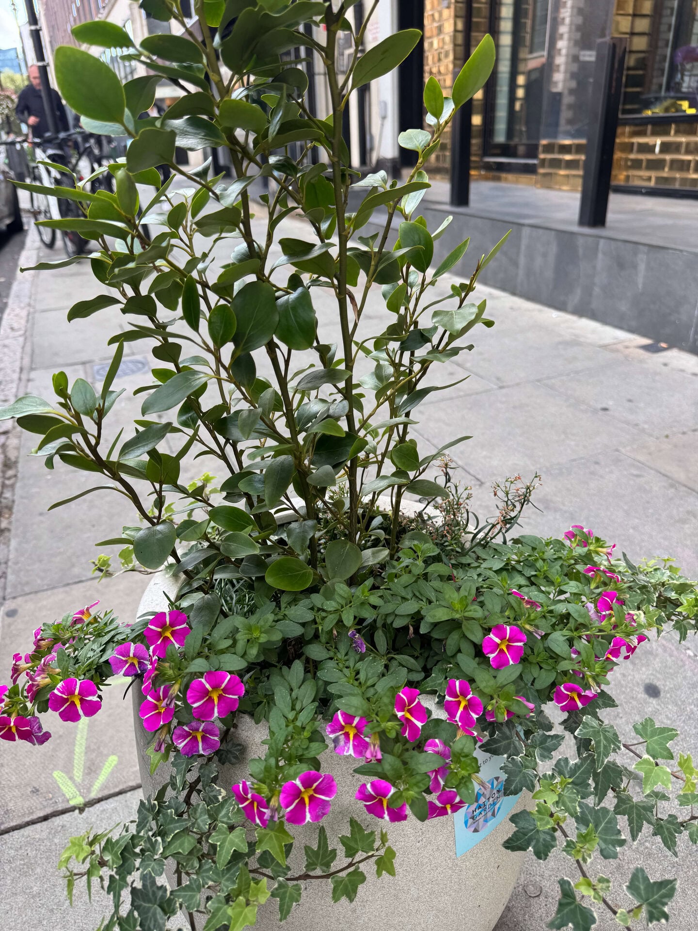 Hatton Garden Planters