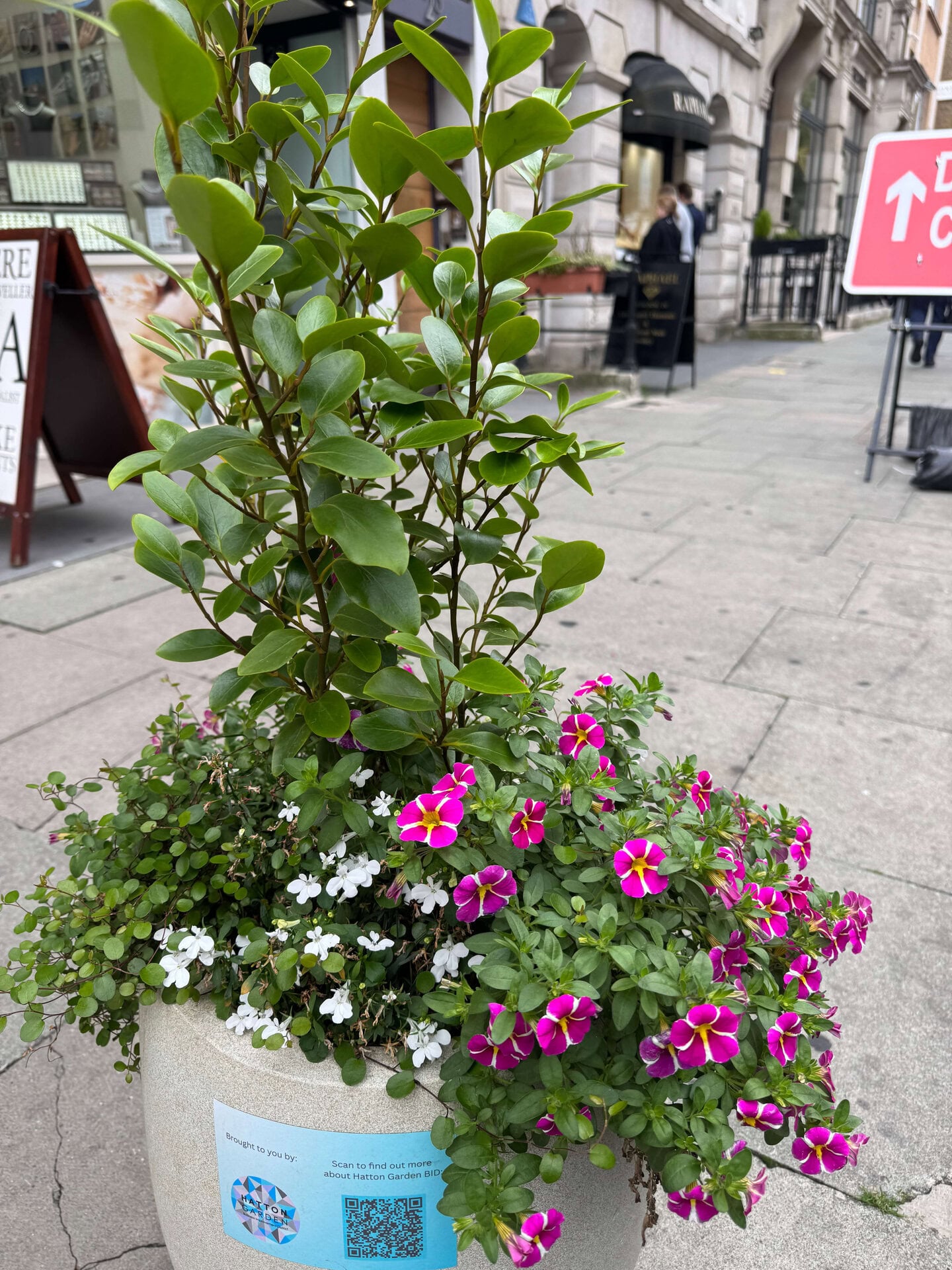 Hatton Garden Planters