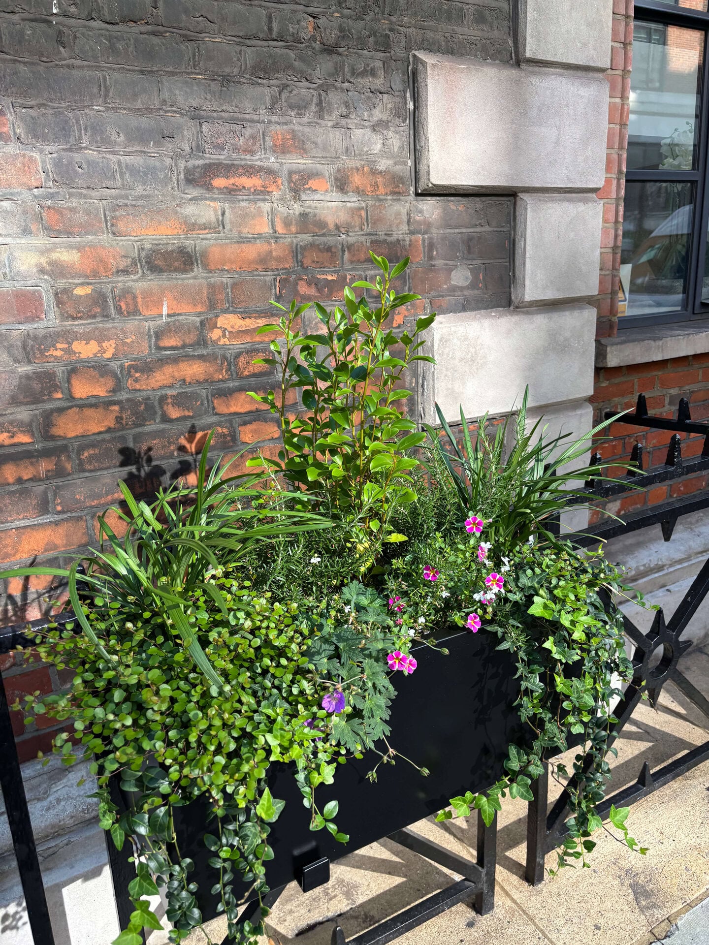 Hatton Garden Planters