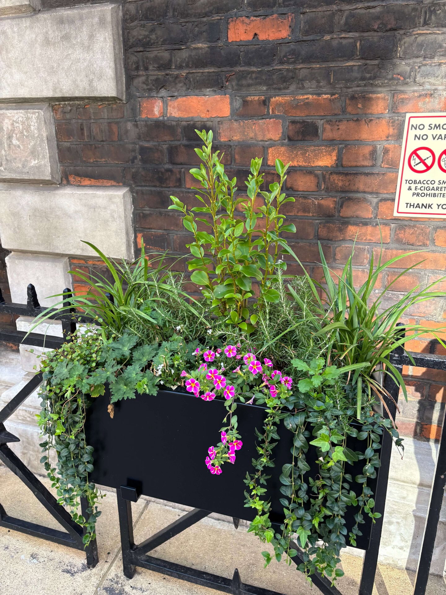 Hatton Garden Planters