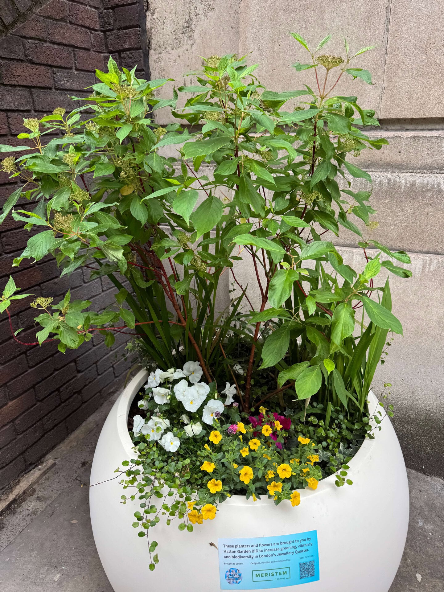 Hatton Garden Planters