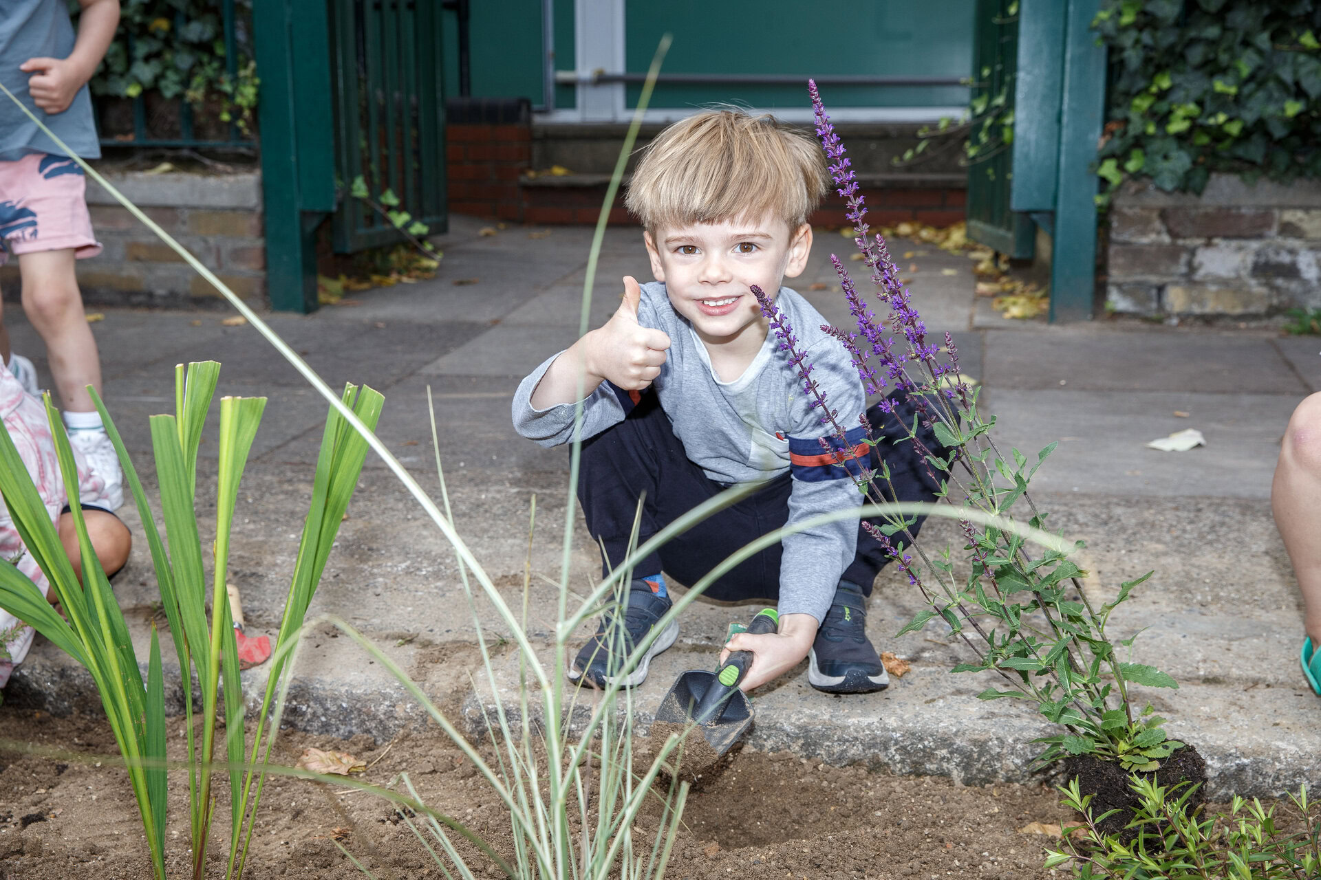 Osborne Road Rain Garden
