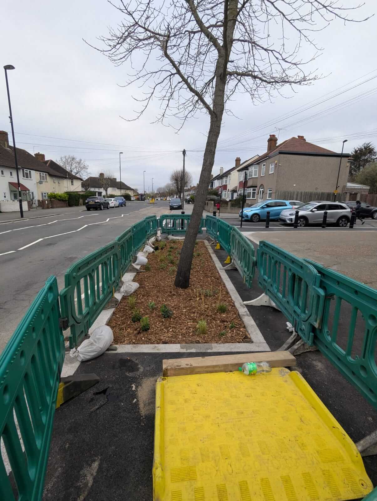 Creating Greener Spaces in Croydon