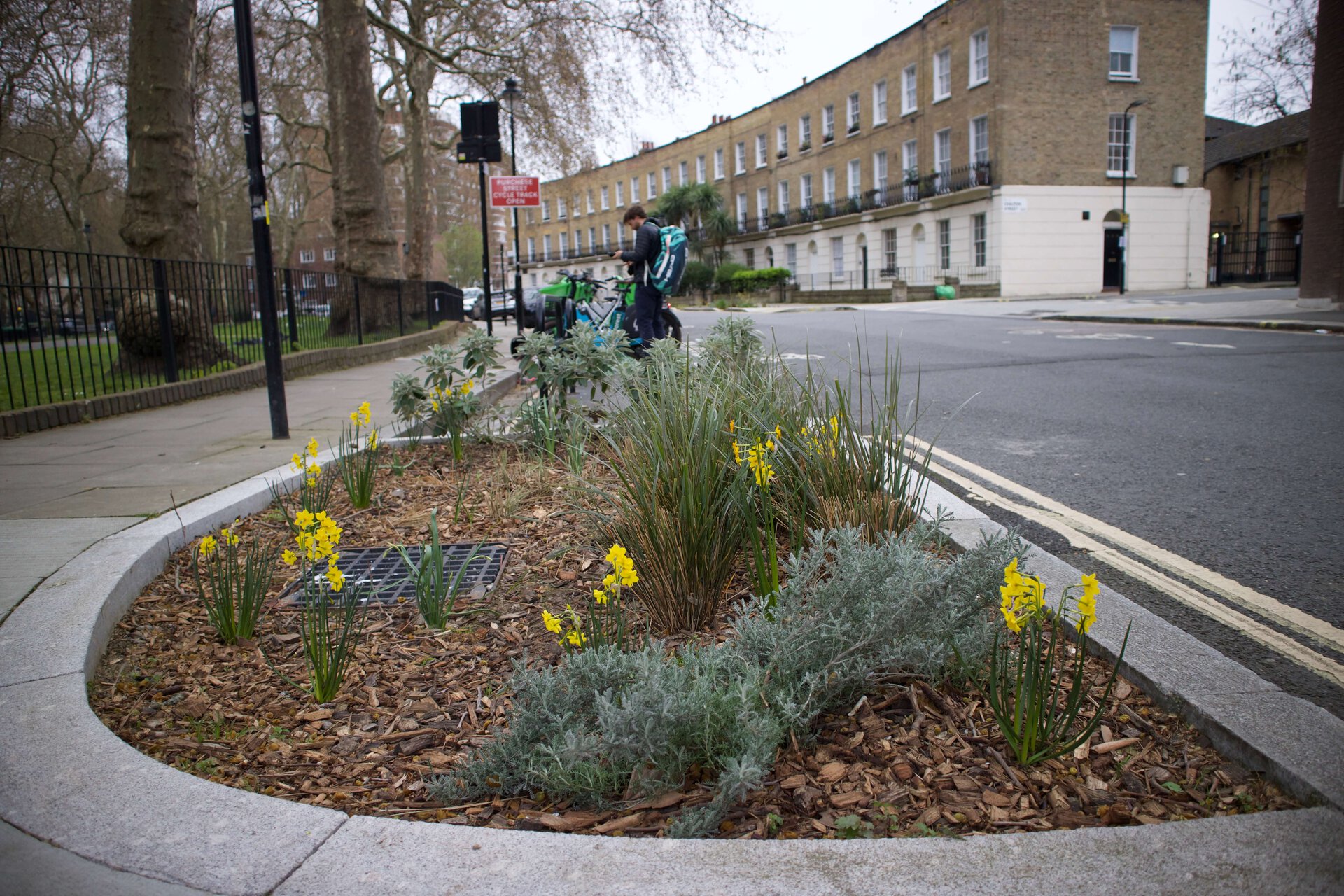 Somers Town Rain Gardens