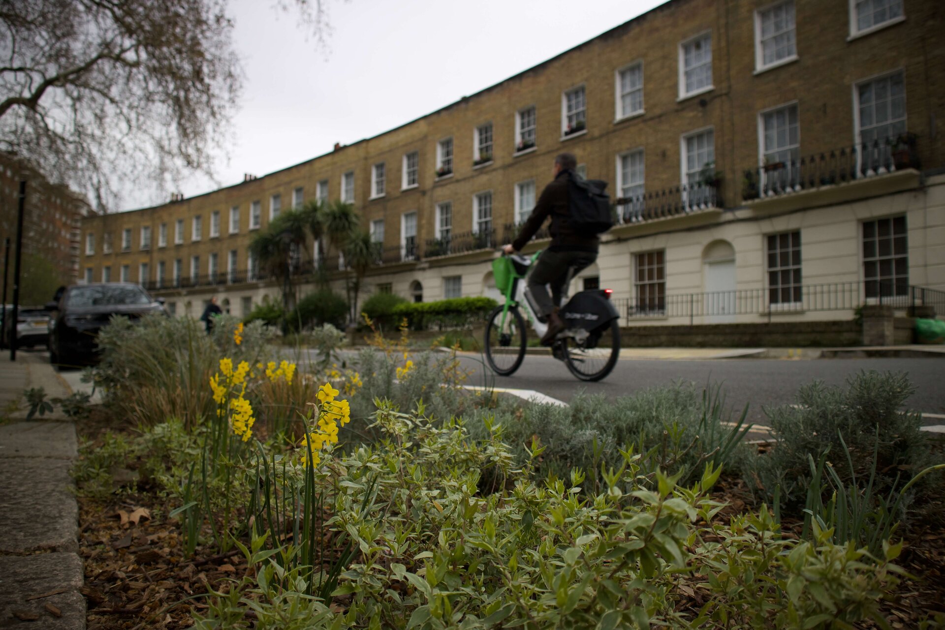 Somers Town Rain Gardens