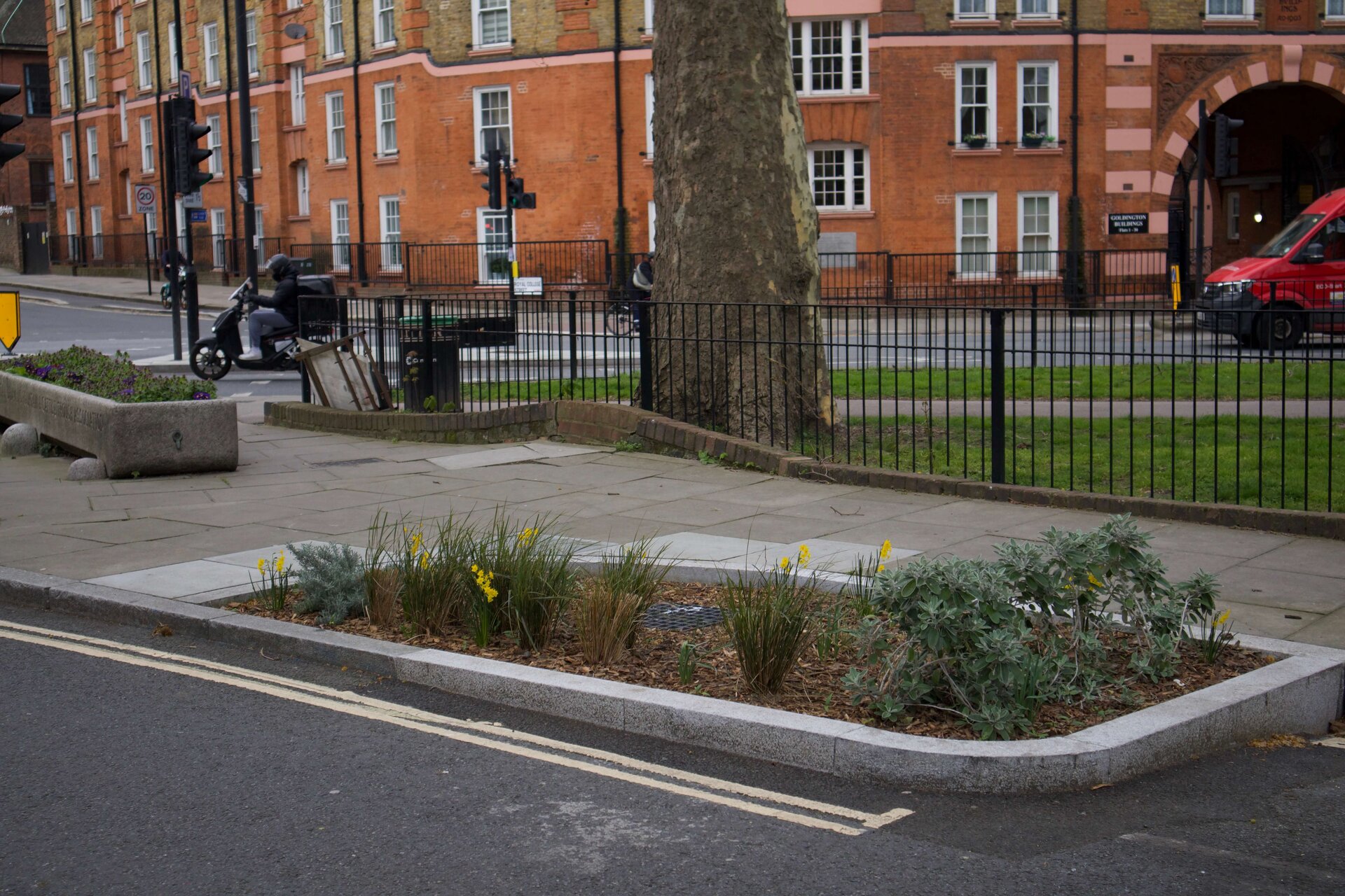 Somers Town Rain Gardens