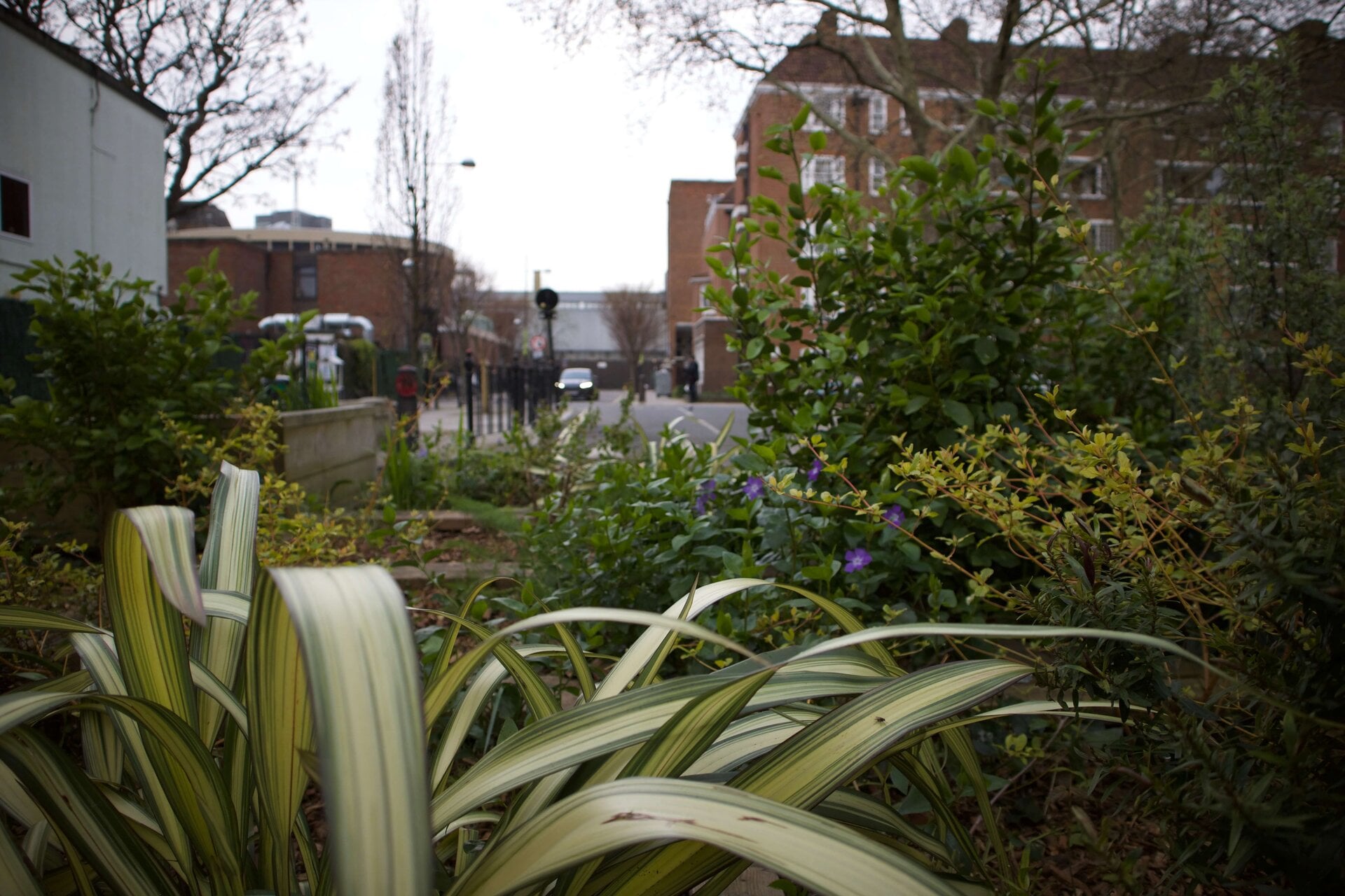 Phoenix Road planters
