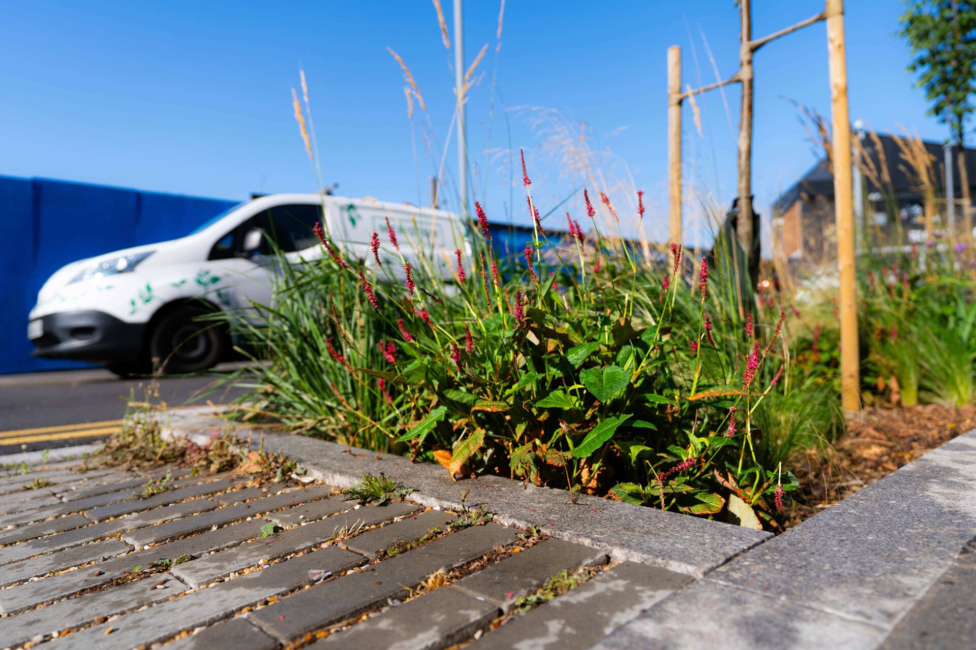 Sutherland Road Public Realm Improvement Scheme