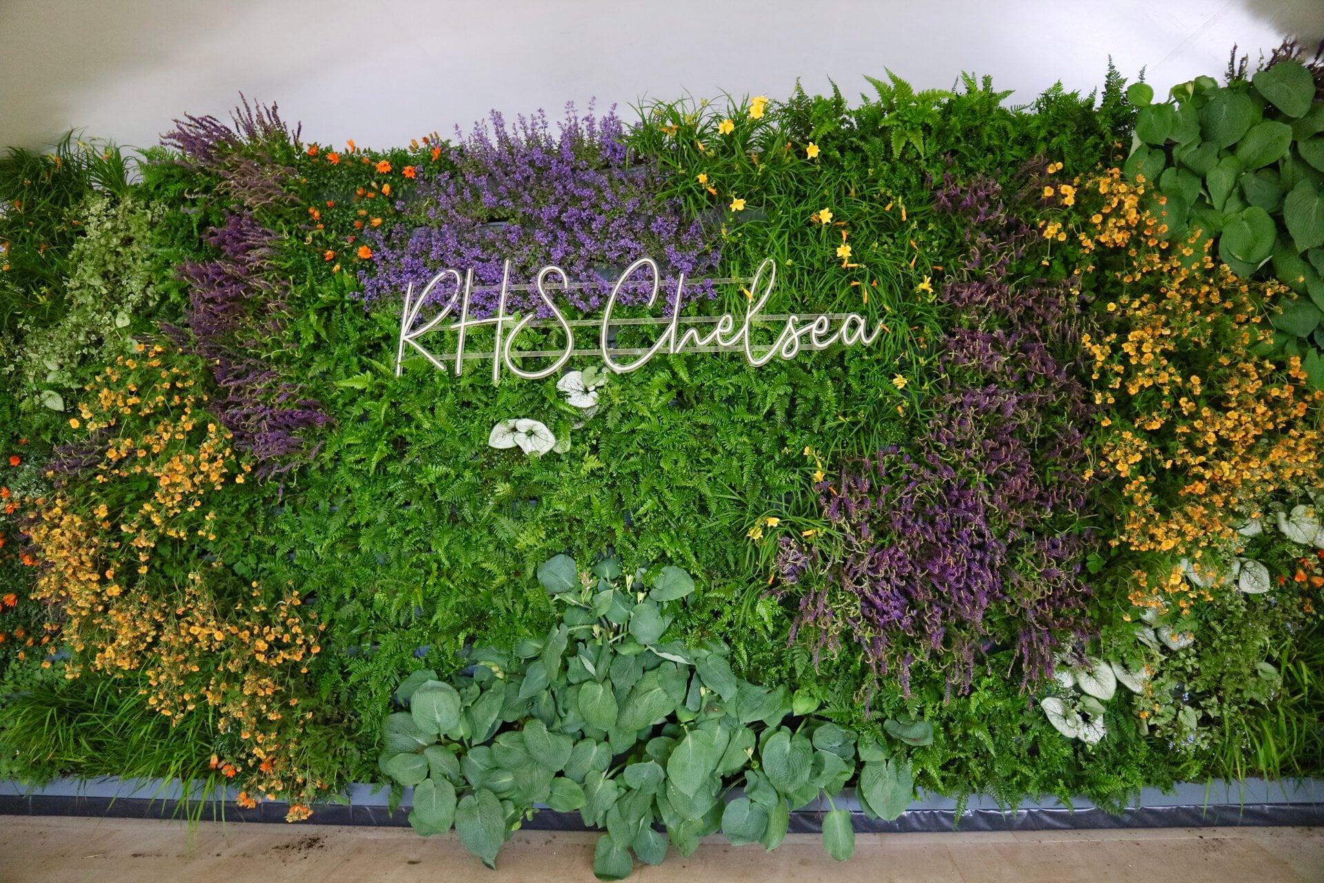 RHS Flower Shows